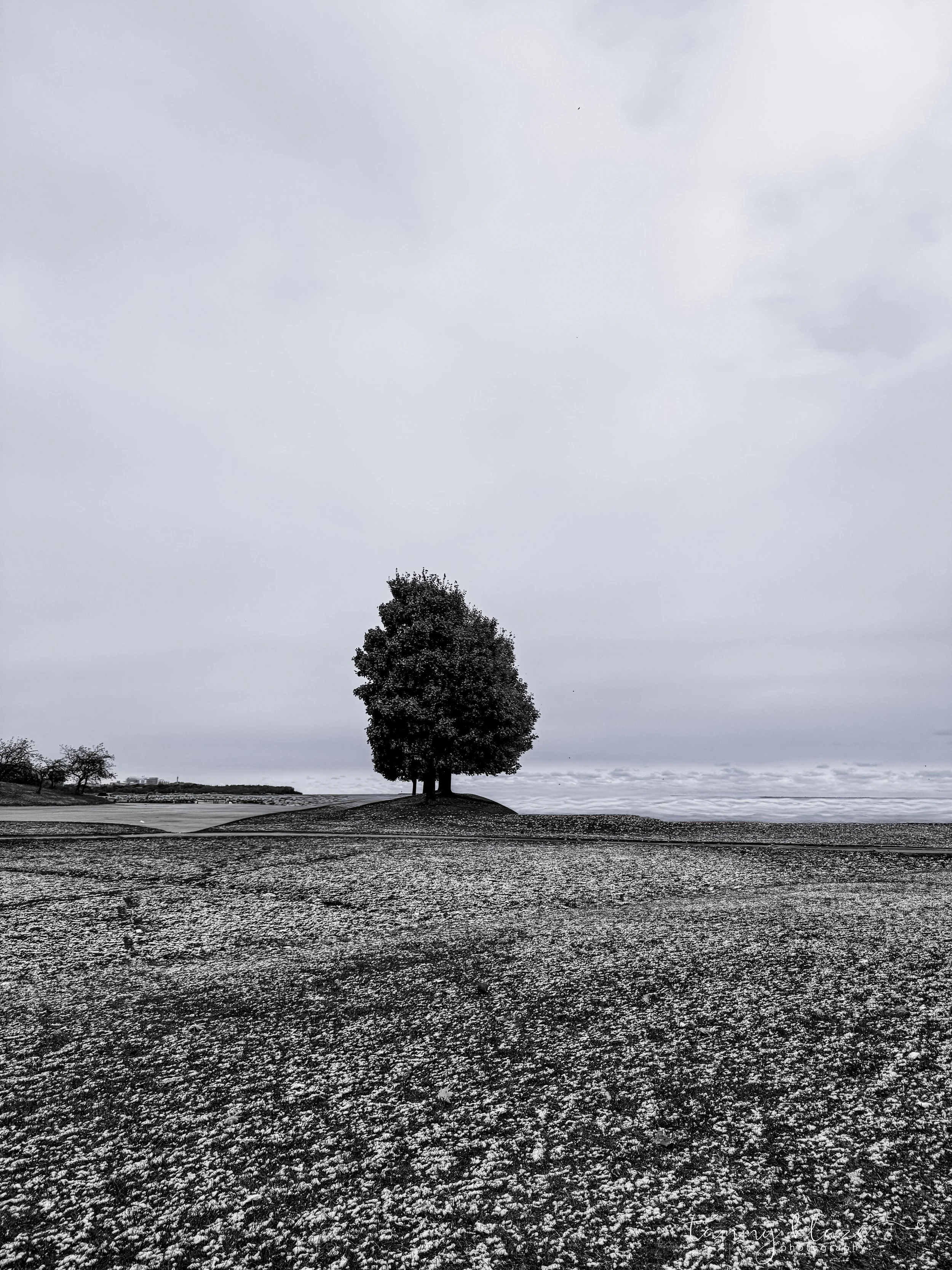 when a moment speaks #2 - b&w - 2025
