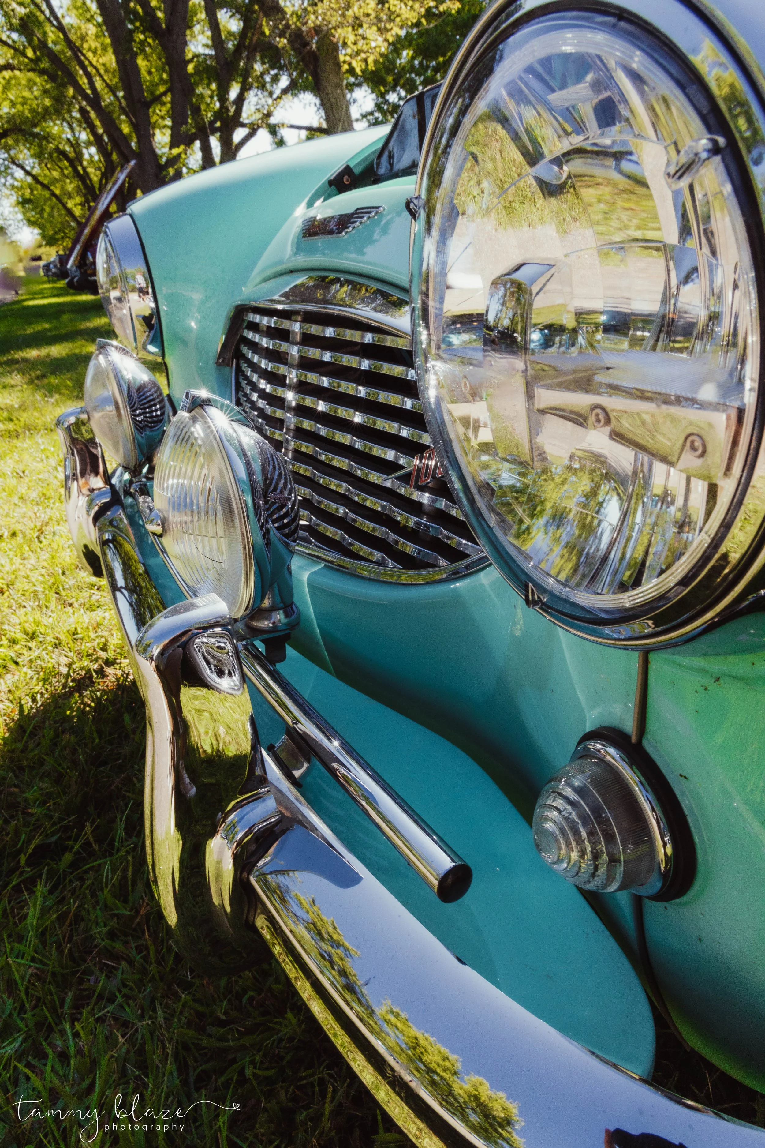 shiny blue - milford, mi - 2024