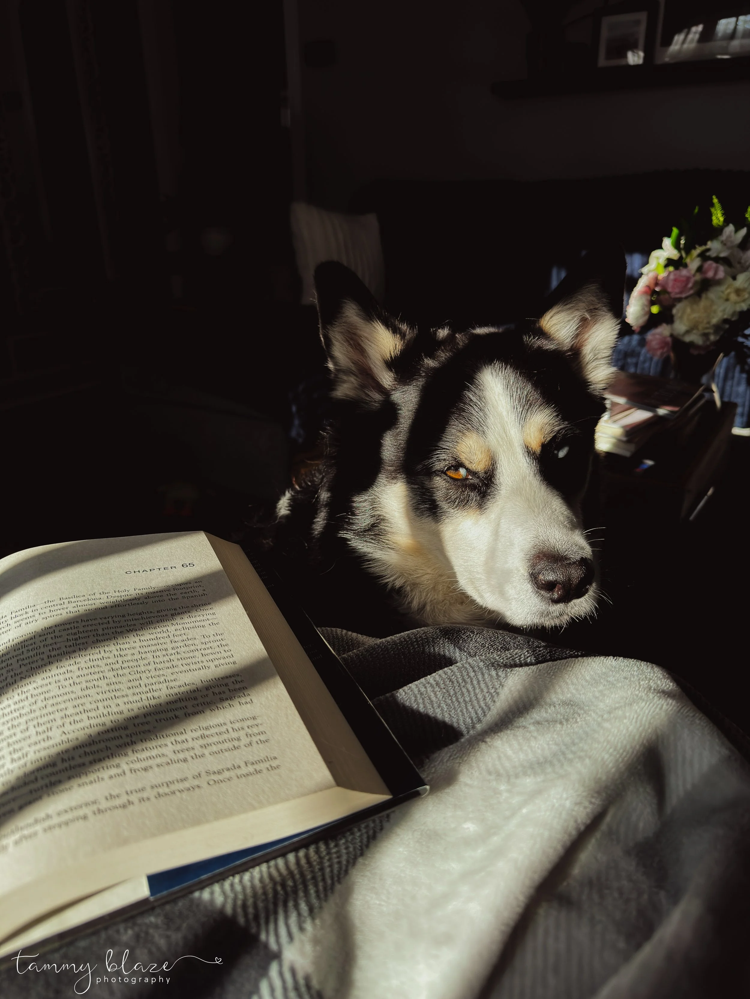 reading companion - 2026