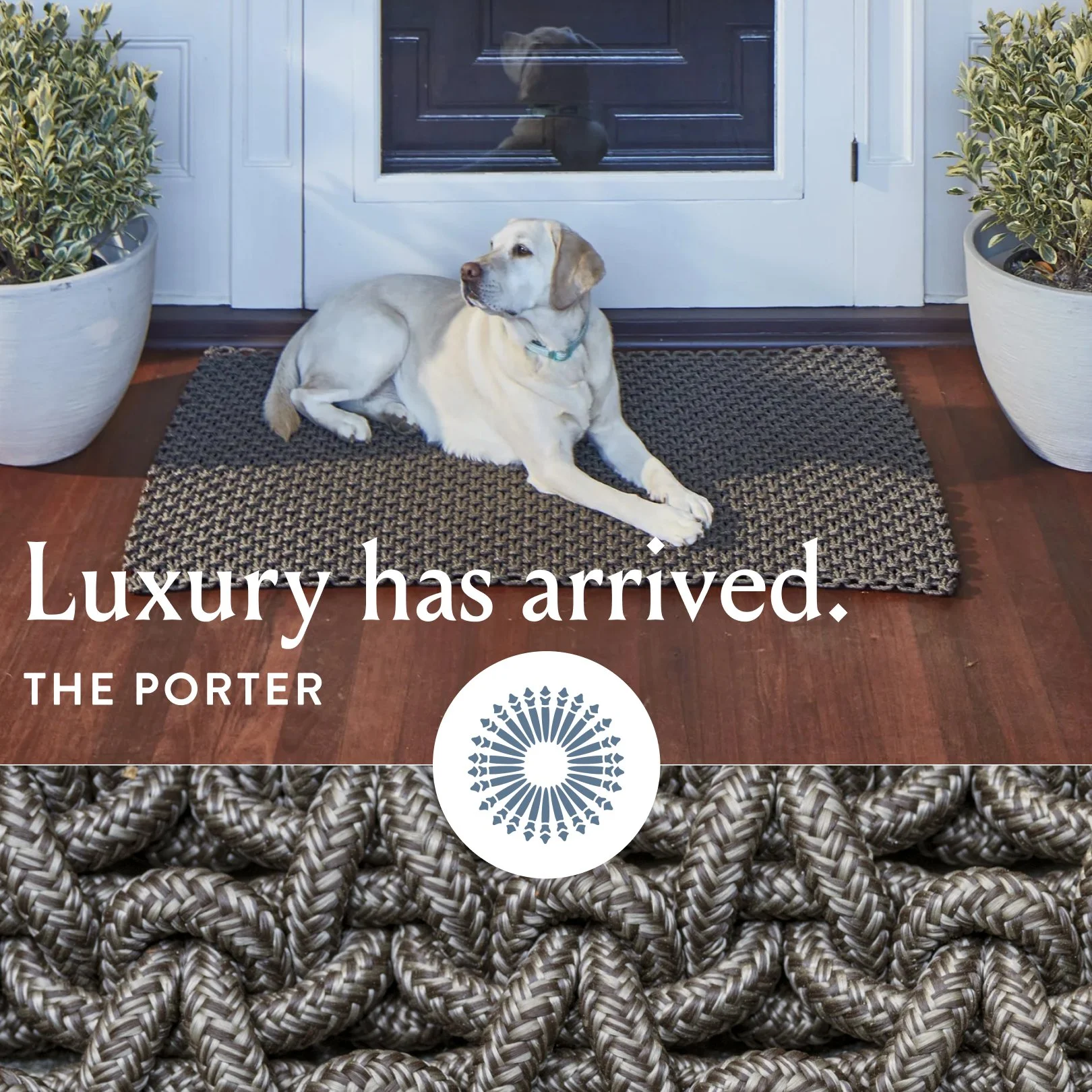 porter_doubleimage_trufflev2.jpg