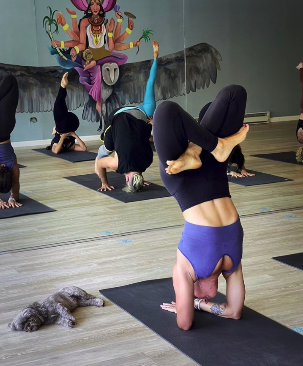 Screen Shot 2023-07-04 at 11.58.45 AM.png