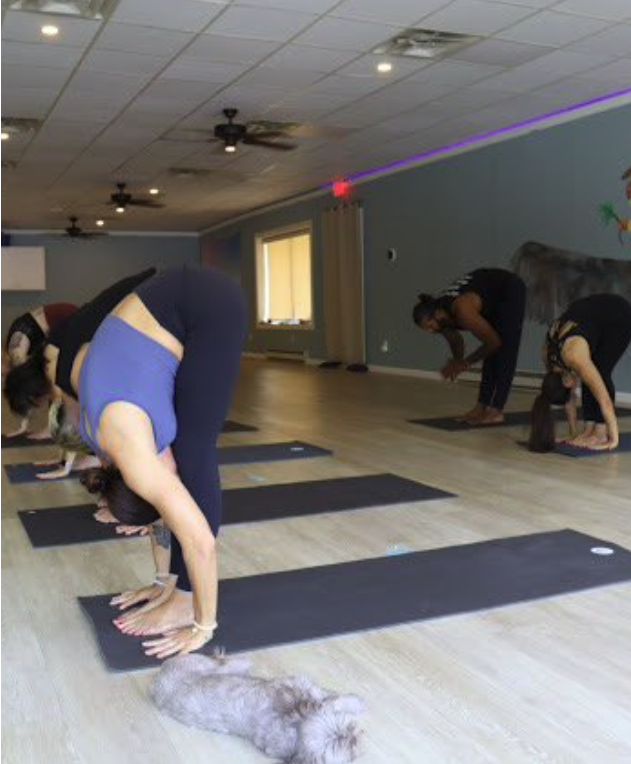 Screen Shot 2023-07-04 at 11.57.23 AM.png