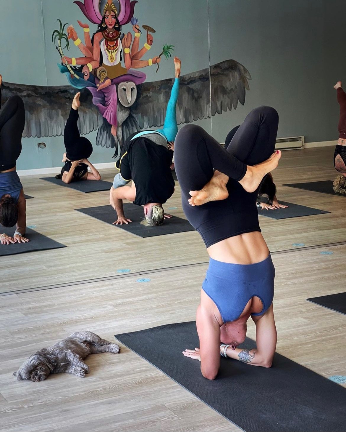 Hot Ashtanga Vinyasa — Just Breathe Yoga