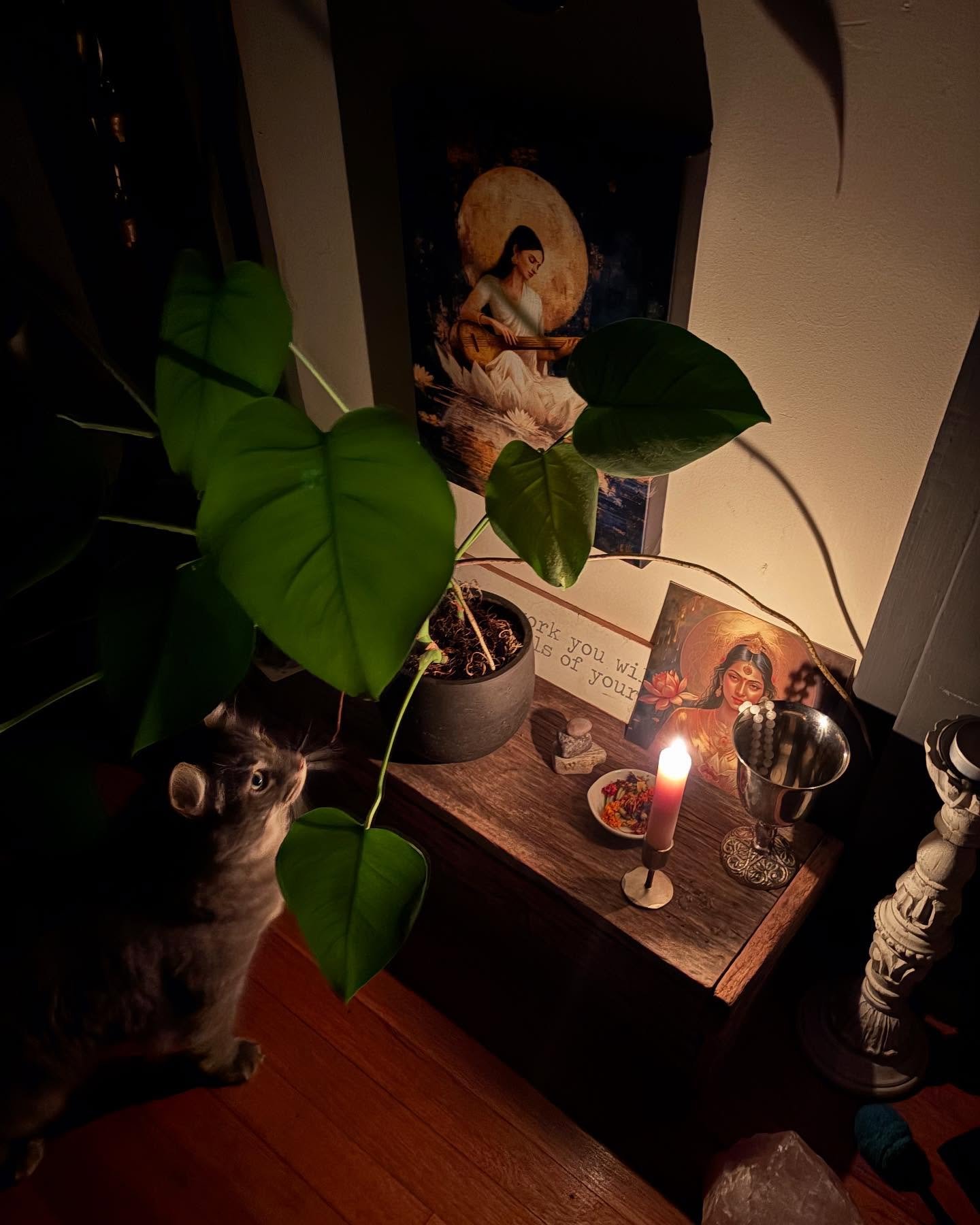 There&rsquo;s a time of day called Brahma muhurta, the hour or so before sunrise.  Theres a lot to love about this time of day.

Ancient Vedic texts say the atmosphere is filled with a special kind of spiritual energy.  It is a time of great peace an