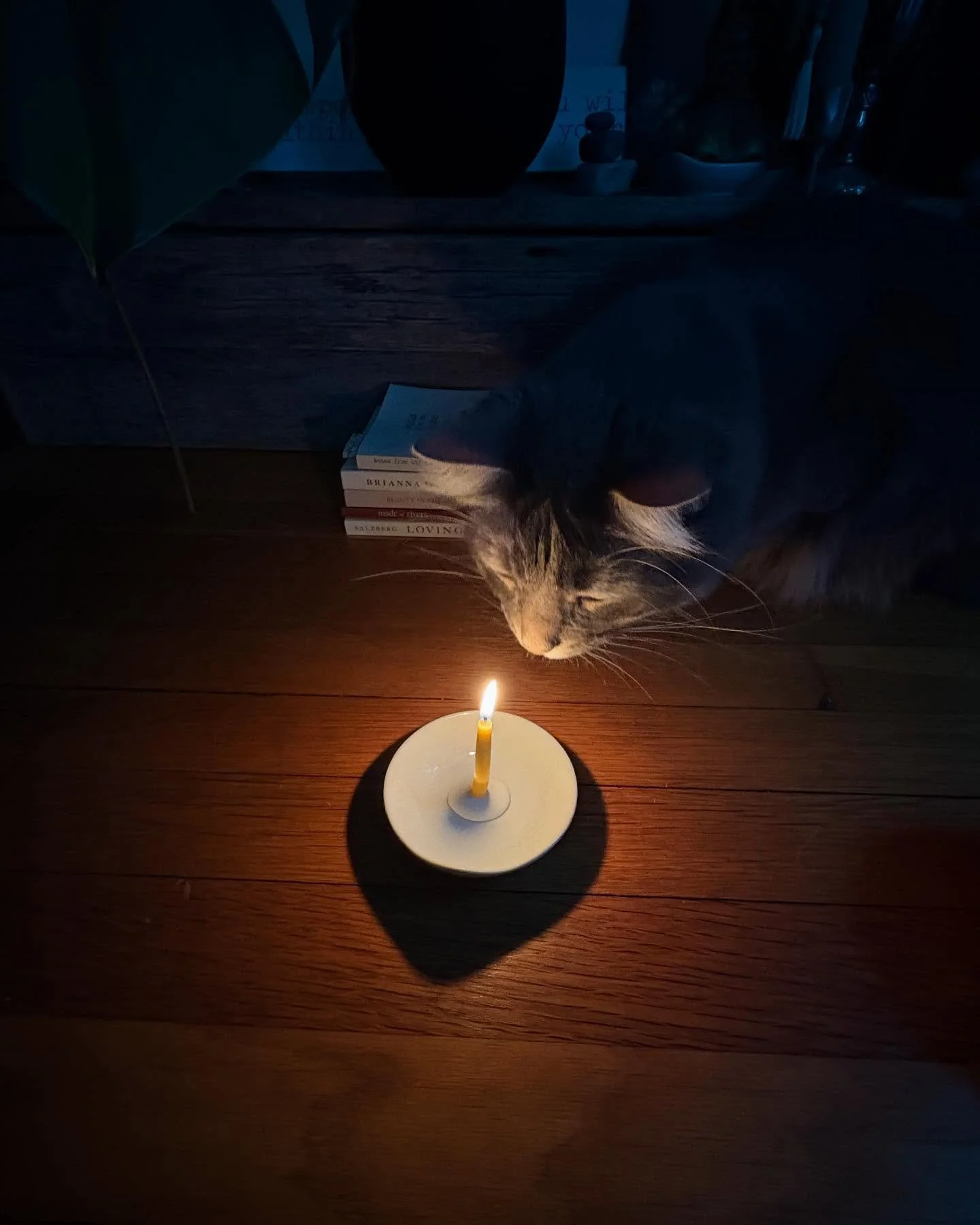Bodhi practicing his Tratak (candle gazing) meditation! 💜

We will practice this during my &ldquo;Ayurveda: The Art of Living&rdquo; workshop at the Estuary this Sunday, Jan. 11th, 4:00-6:00 pm.

A few spots available.  I&rsquo;d love to see you the