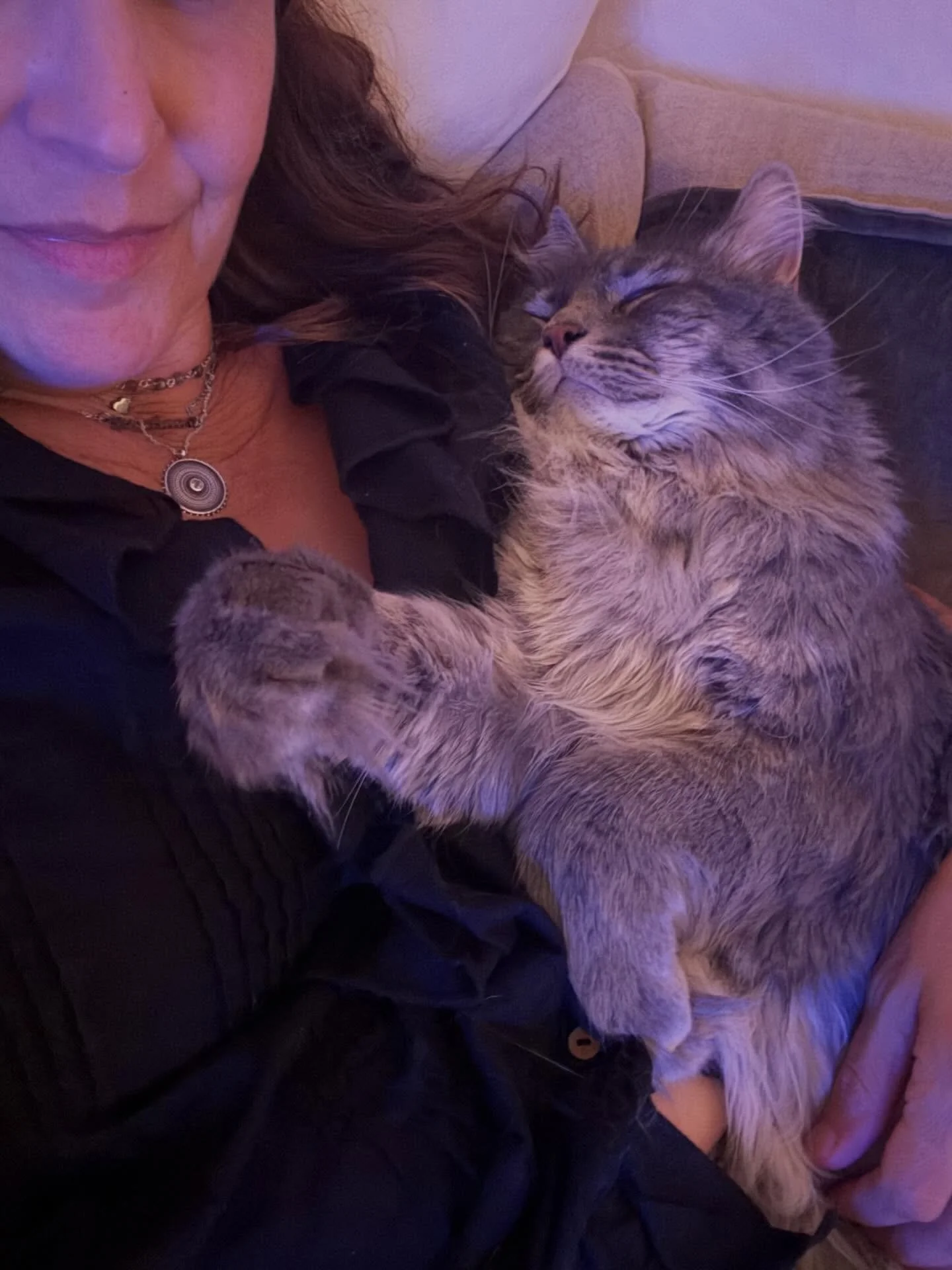Fills my heart&hellip;💜🐾