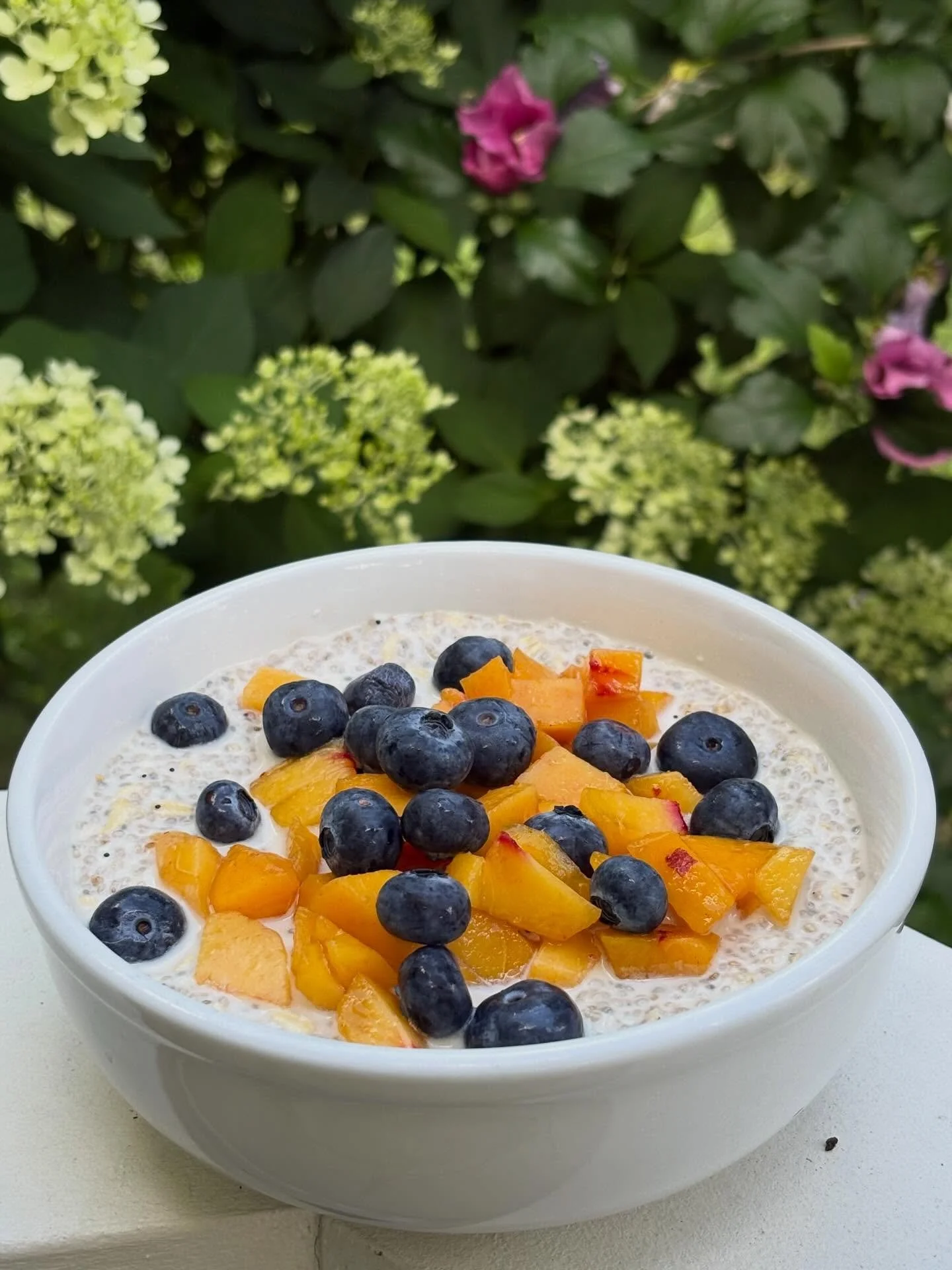 I&rsquo;ve been dreaming of this breakfast since we got these peaches from the Georgia Peach Truck. 🍑

Coconut Chia Breakfast Bowl from the Living Ayurveda book by @claireragz is so perfect in the height of summer.  Almond milk, a generous amount of