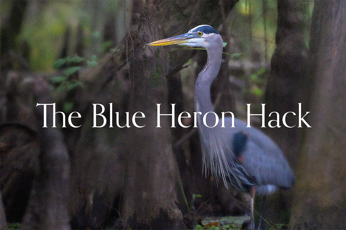 The&nbsp;Blue Heron Hack&nbsp;