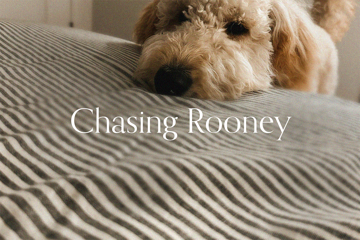 Chasing Rooney