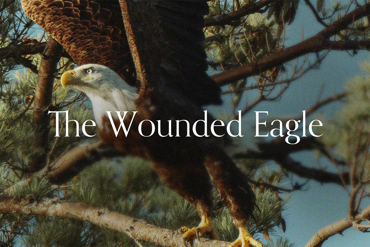 The Wounded Eagle