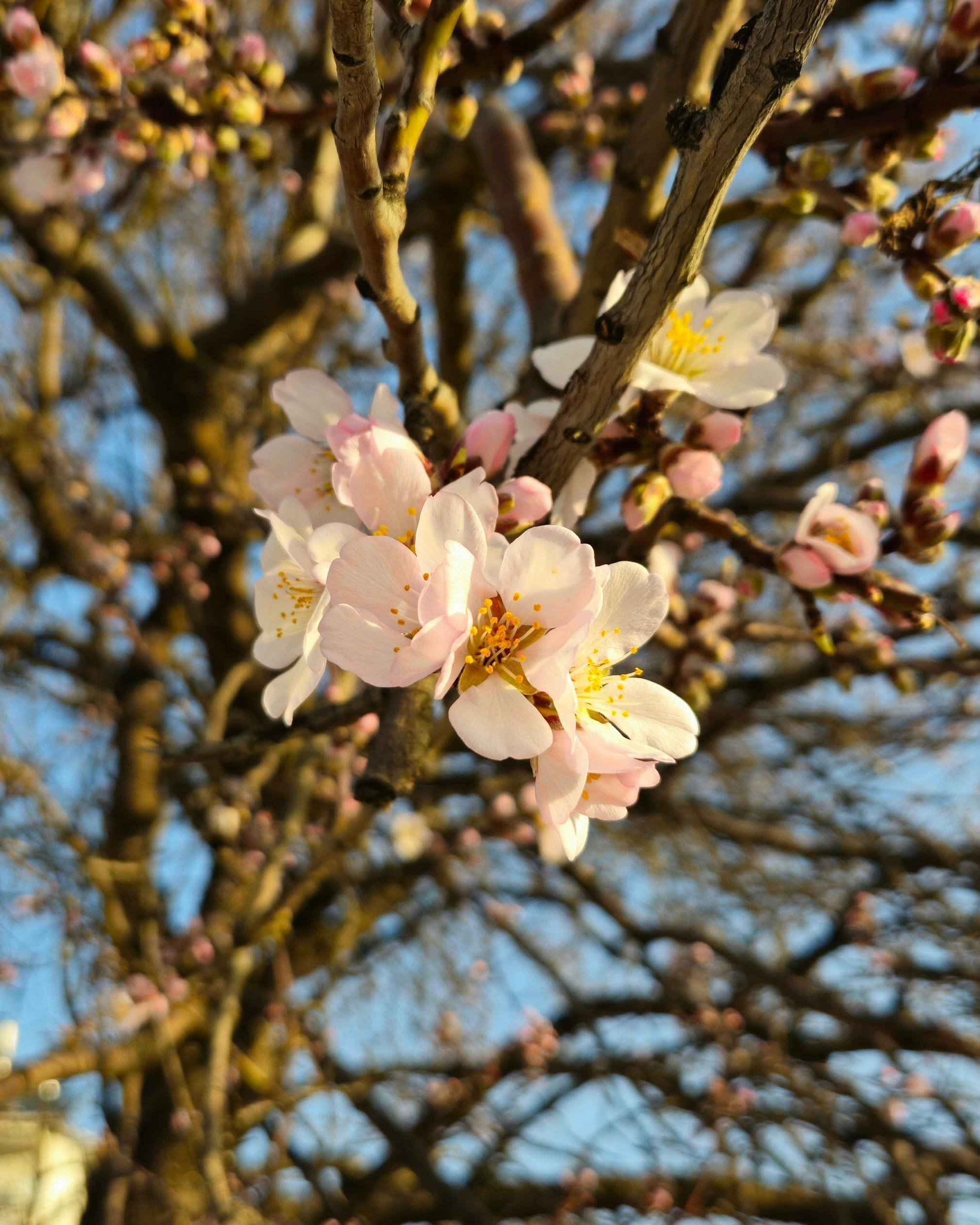 人生中段的幾個觀察筆記