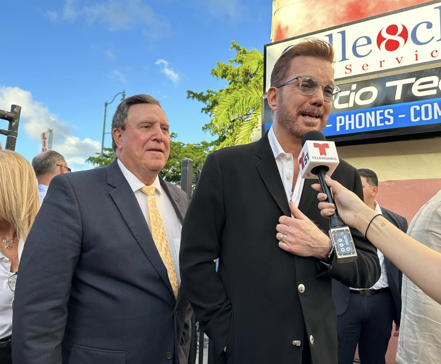 Willy Chirino Mural by Miss Lushy 15.png