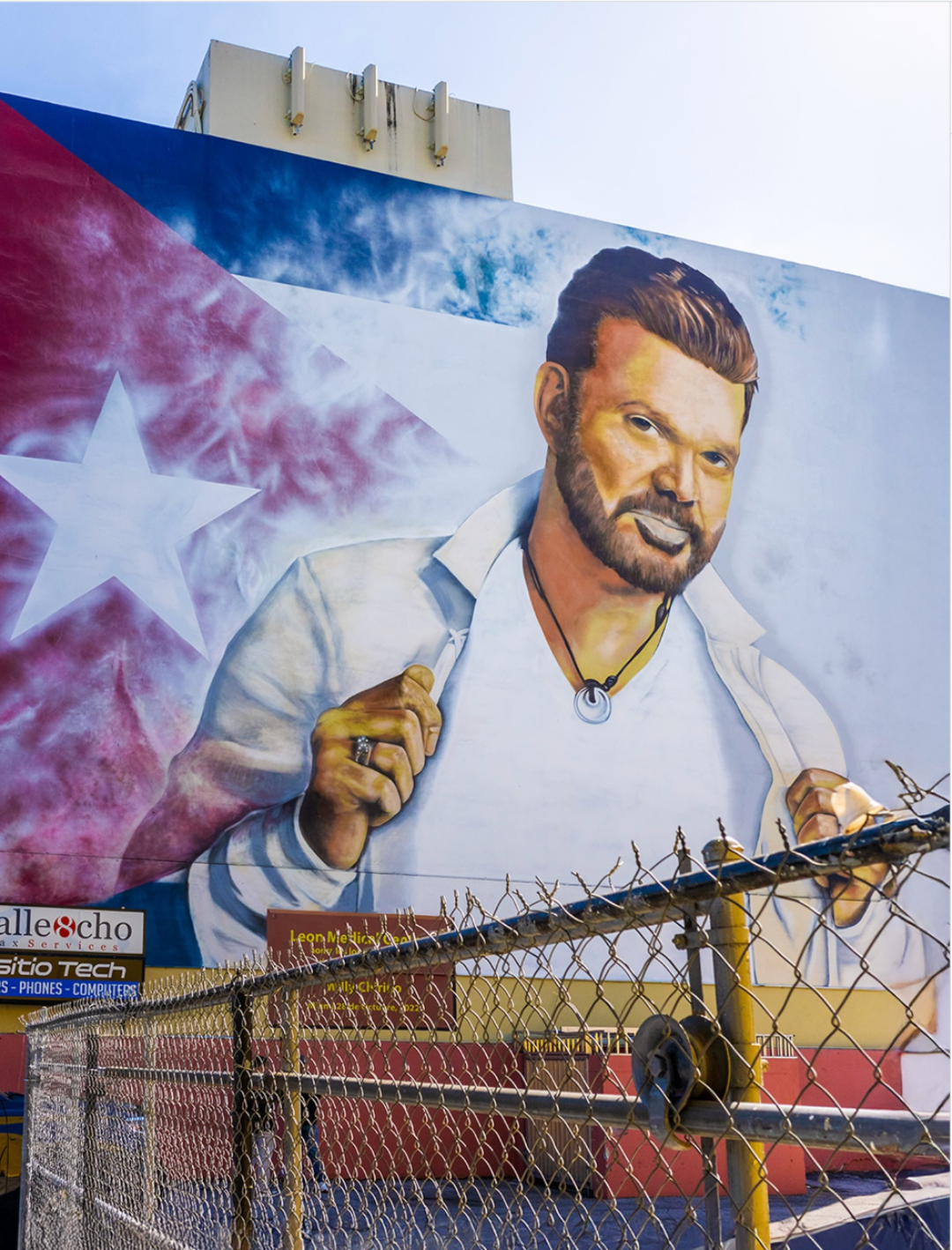 Willy Chirino Mural.png