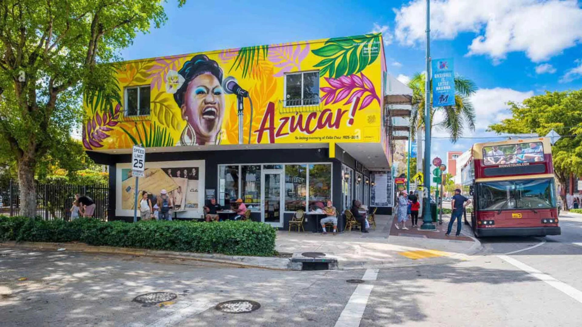 Celia Cruz Mural by Miss Lushy in Little Havana at Calle Ocho featured in the Little Havana Walking Tour