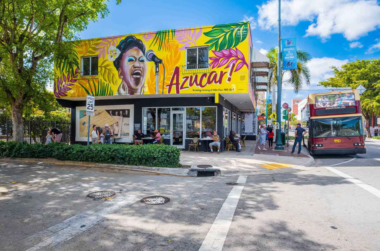 celia-cruz-azucar-miss-lushy-mural.png