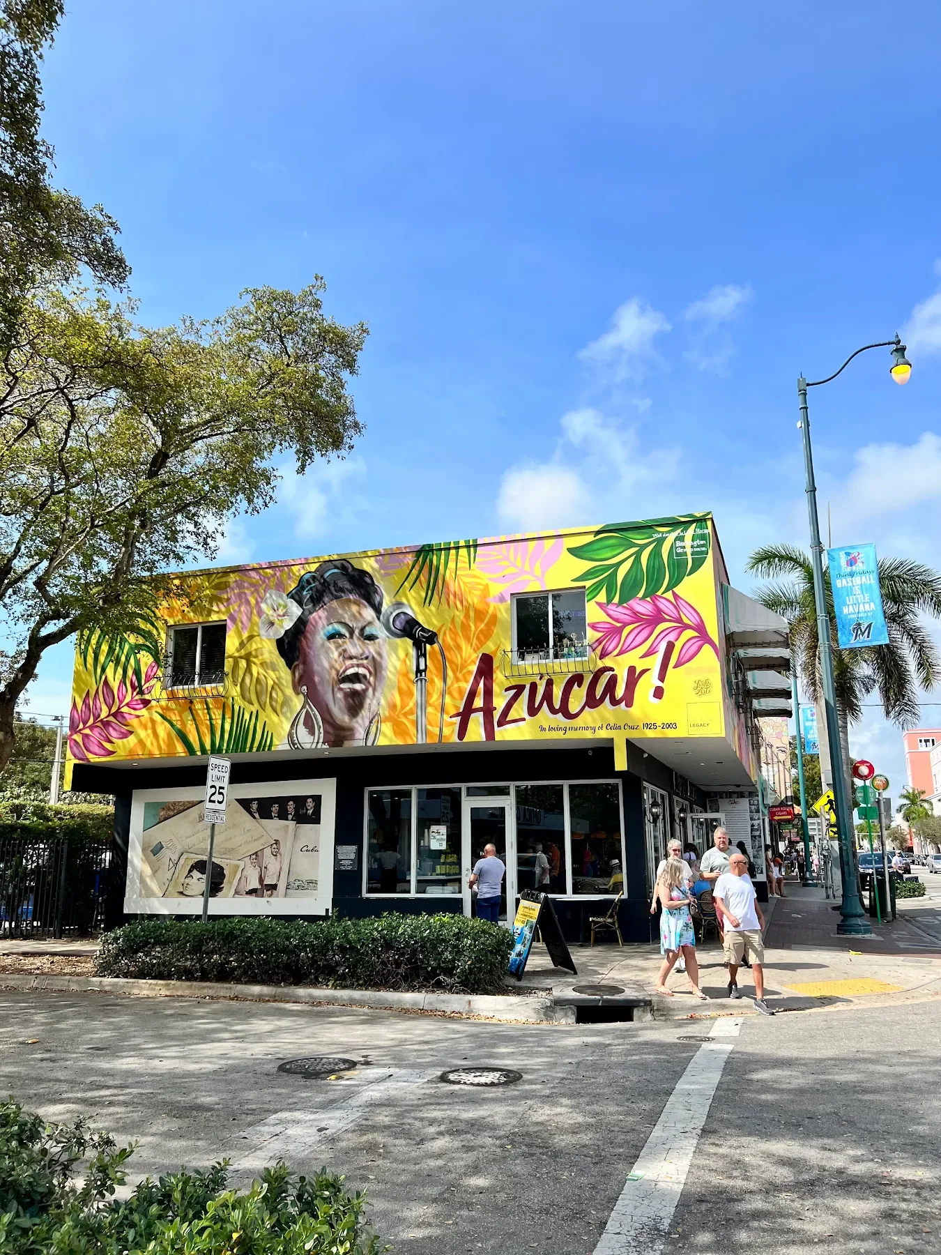 Celia Cruz Mural by Miss Lushy in Little Havana at Calle Ocho featured in the Little Havana Walking Tour