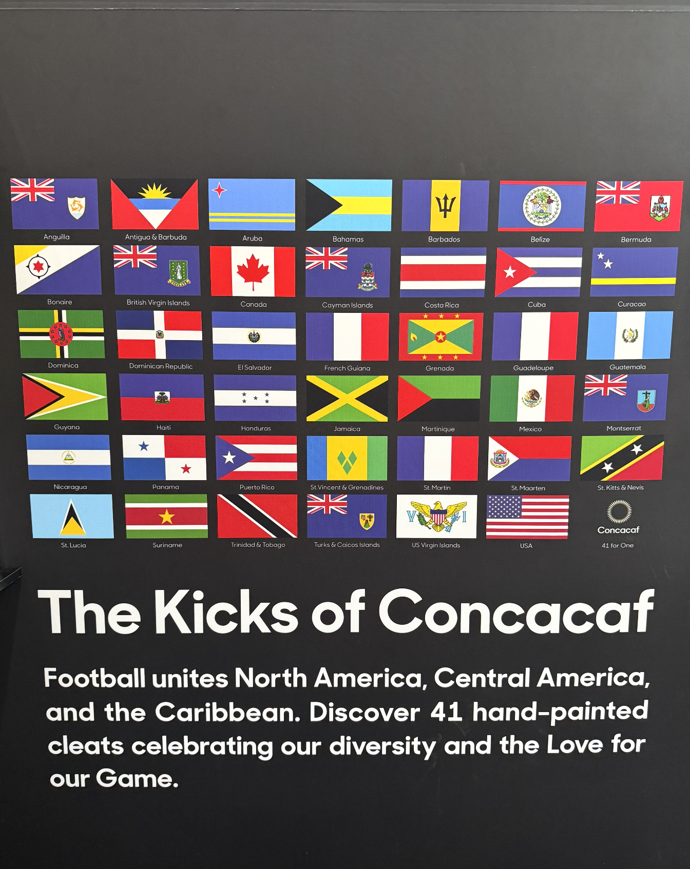 the-kicks-of-concacaf-hand-painted-boots-by-miss-lushy.png