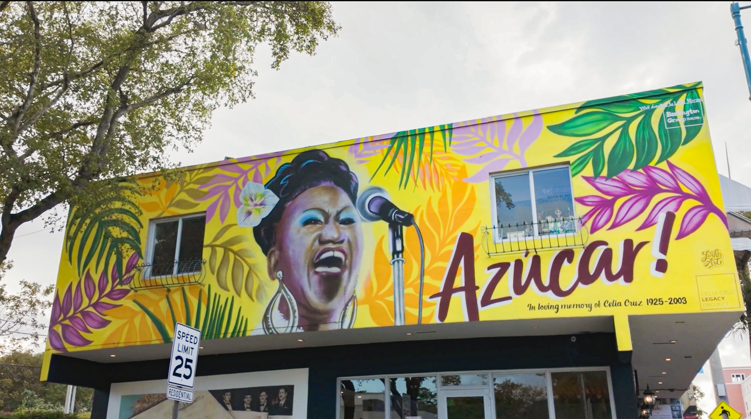 celia-cruz-mural-painted-by-miss-lushy-alexandra-seda-on-calle-ocho-little-havana-walking-tour.png
