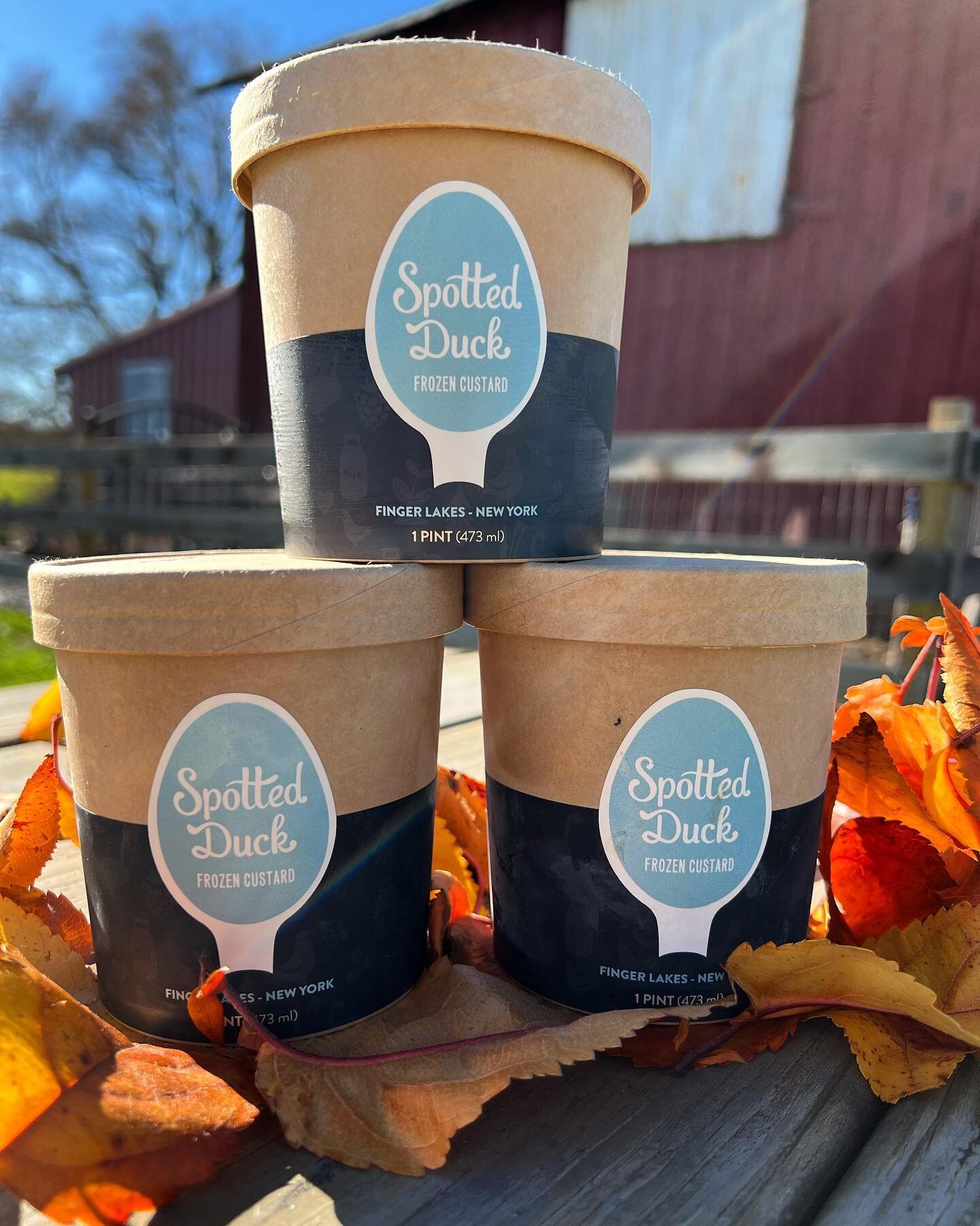 🚨 Stock up on seasonal pints and crew necks for a sweet and cozy Thanksgiving dinner! 🦃 

This Tuesday the 21st from 2:00-6:00pm we will have 15 plus flavors available in pints. This includes your holiday favorites like Pumpkin, Apple Pie, Cinnamon