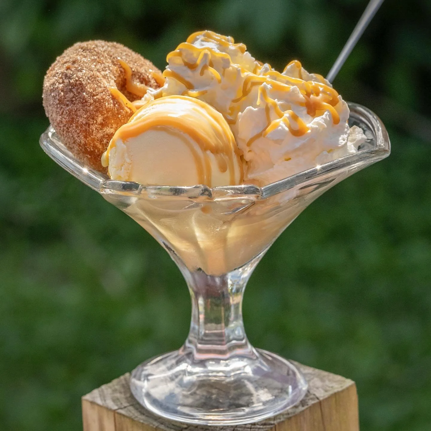 🍎✨ Apple Cider Donut Sundae ✨🍎

This weekend we&rsquo;re bringing back a fall favorite!

Fresh @Wagerscidermill apple cider donuts, three scoops of our vanilla frozen custard, fluffy homemade whip, and an apple cider caramel drizzle on top 👀🍂🍨 (