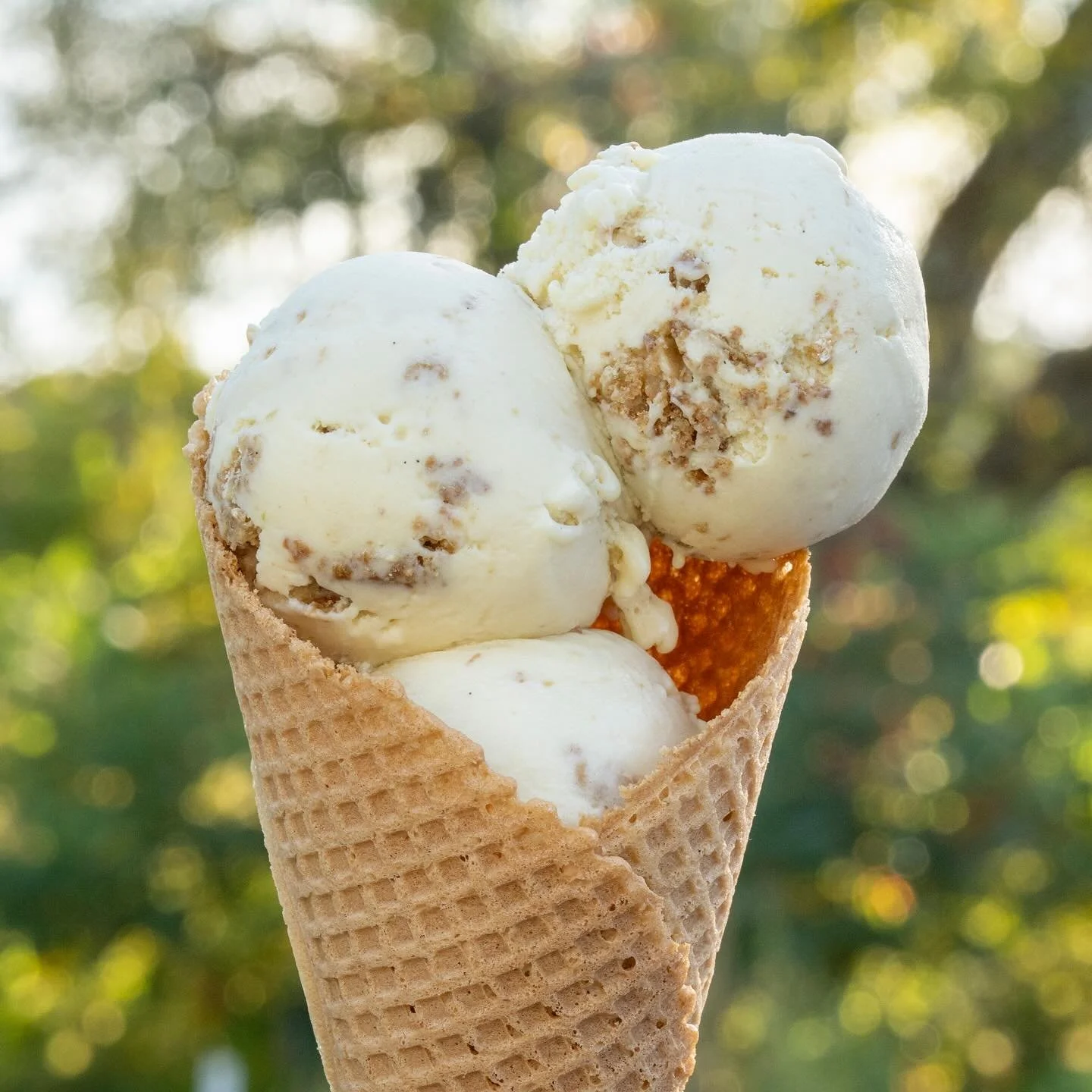 🍎 Dutch Apple Crumble is back! A smooth and creamy apple ice cream with crumbly bits of cinnamon oats. 😋 Thanks @wagerscidermill for the gorgeous local apples 🍏