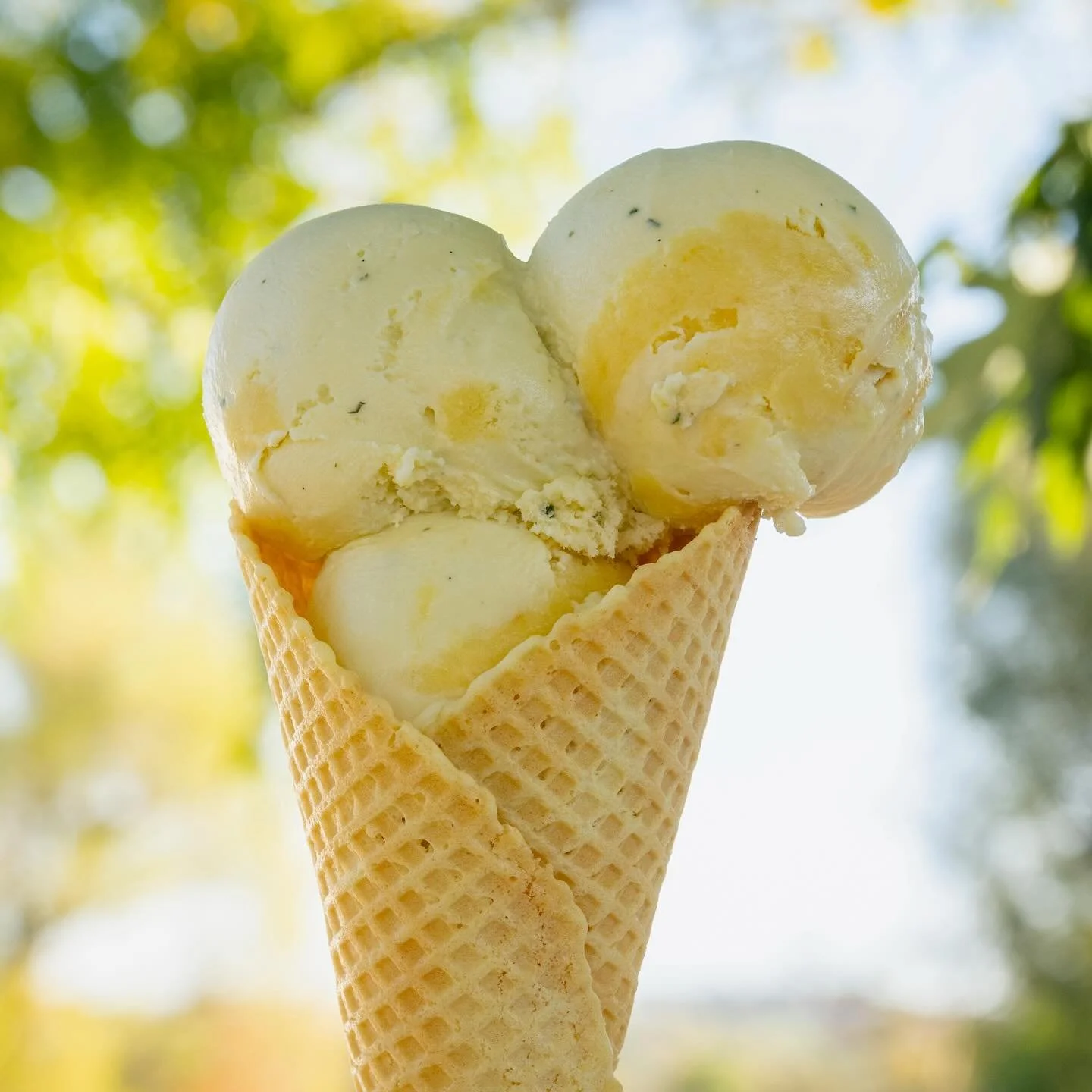 🍋 🌿 🍋 🌿 🍋 🌿 🍋 🌿 
Fresh basil from @garlicksgarlic + @mushlove plus a vibrant homemade lemon curd combine for a perfect combination in this lemon basil custard. Get it while it lasts, cause it won’t be long! 
Ask for a drizzle of extra
