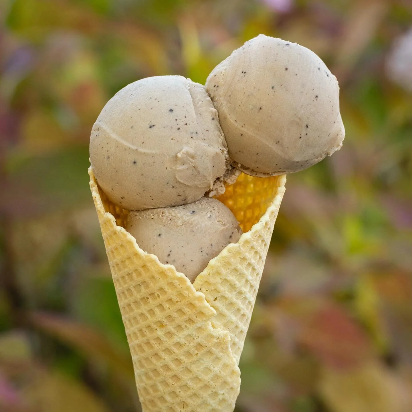 ‘Lake Fog’ is rolling in. Our bergamot and black tea-infused frozen custard is back for a limited time. It’s smooth, mysterious, and deliciously dairy-free. ☁️☕️🍊
🗓️ Also, after October 26th we will be open weekends only! Come vi