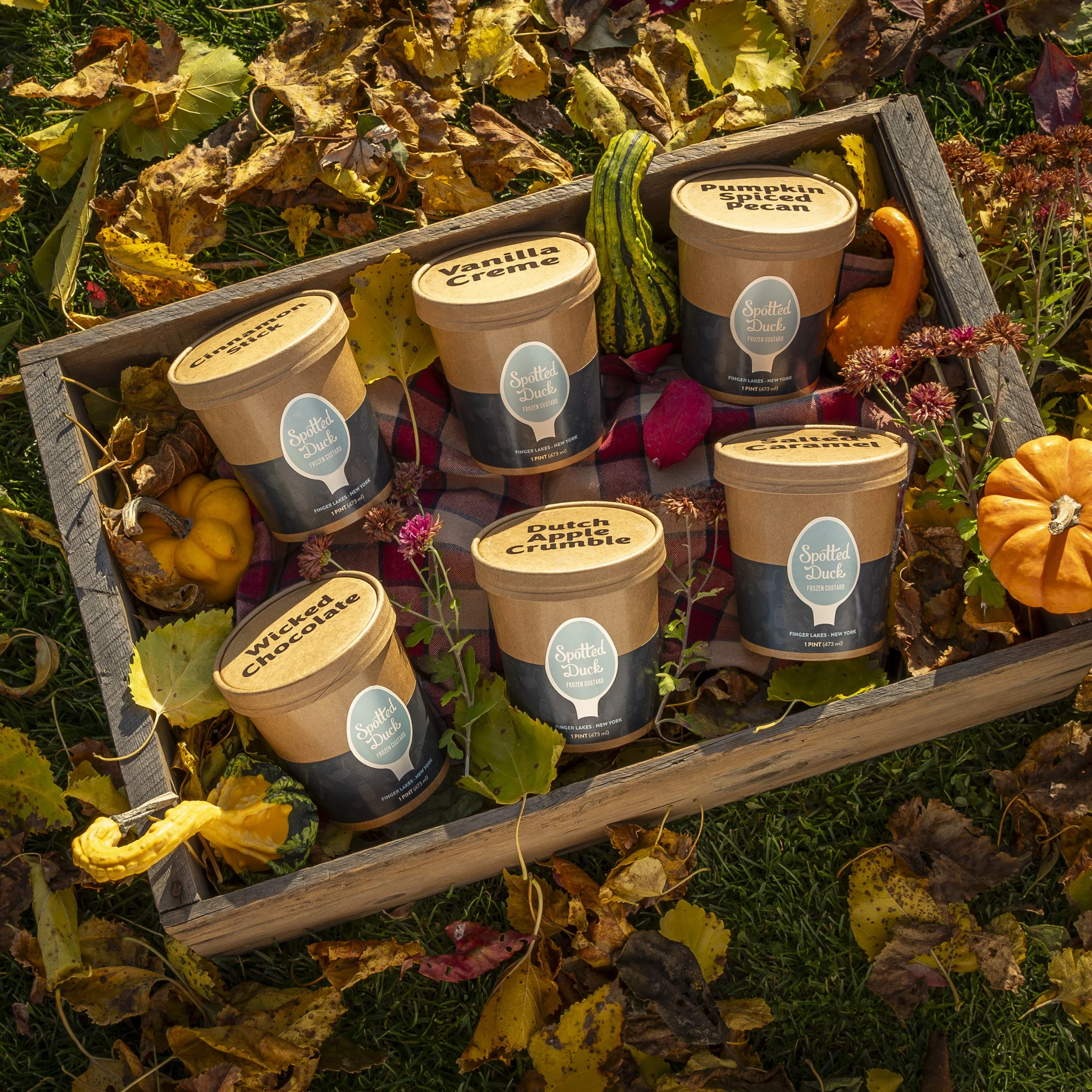 2024-000 SPOT Fall Shots-0067-Enhanced-NRLR.jpg (Copy)