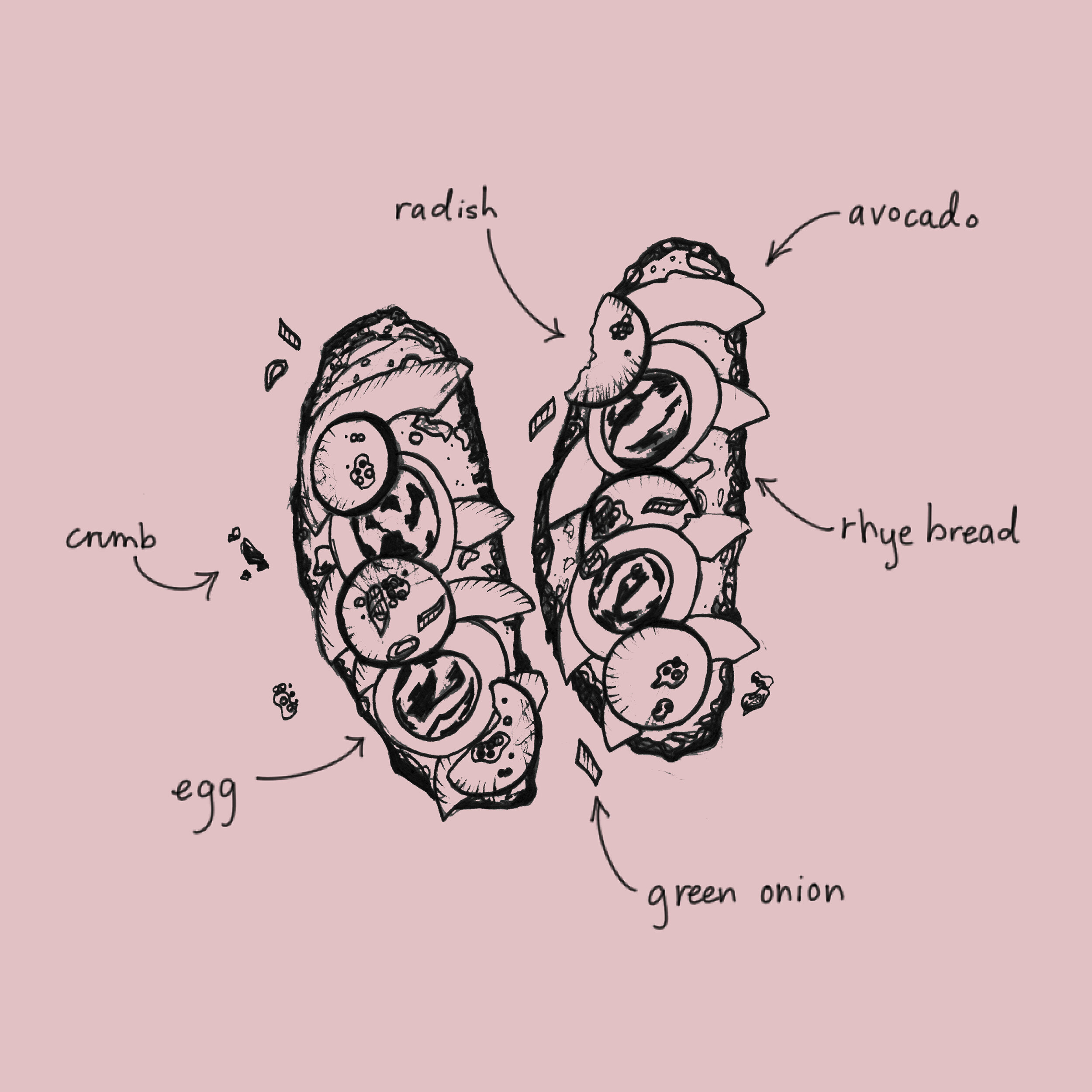Csullivan_Bookdesign_JustToast__WEBimages6.jpg