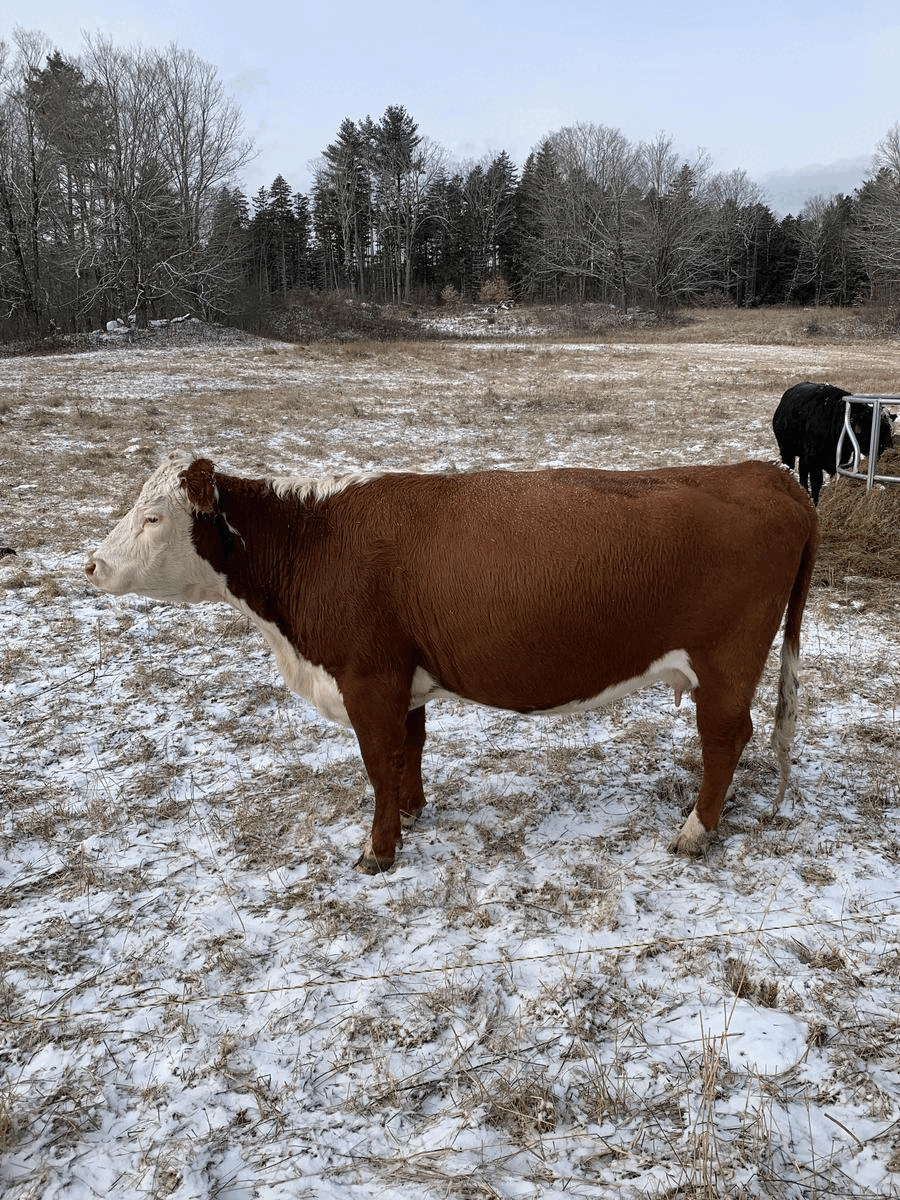 How to not fool yourself