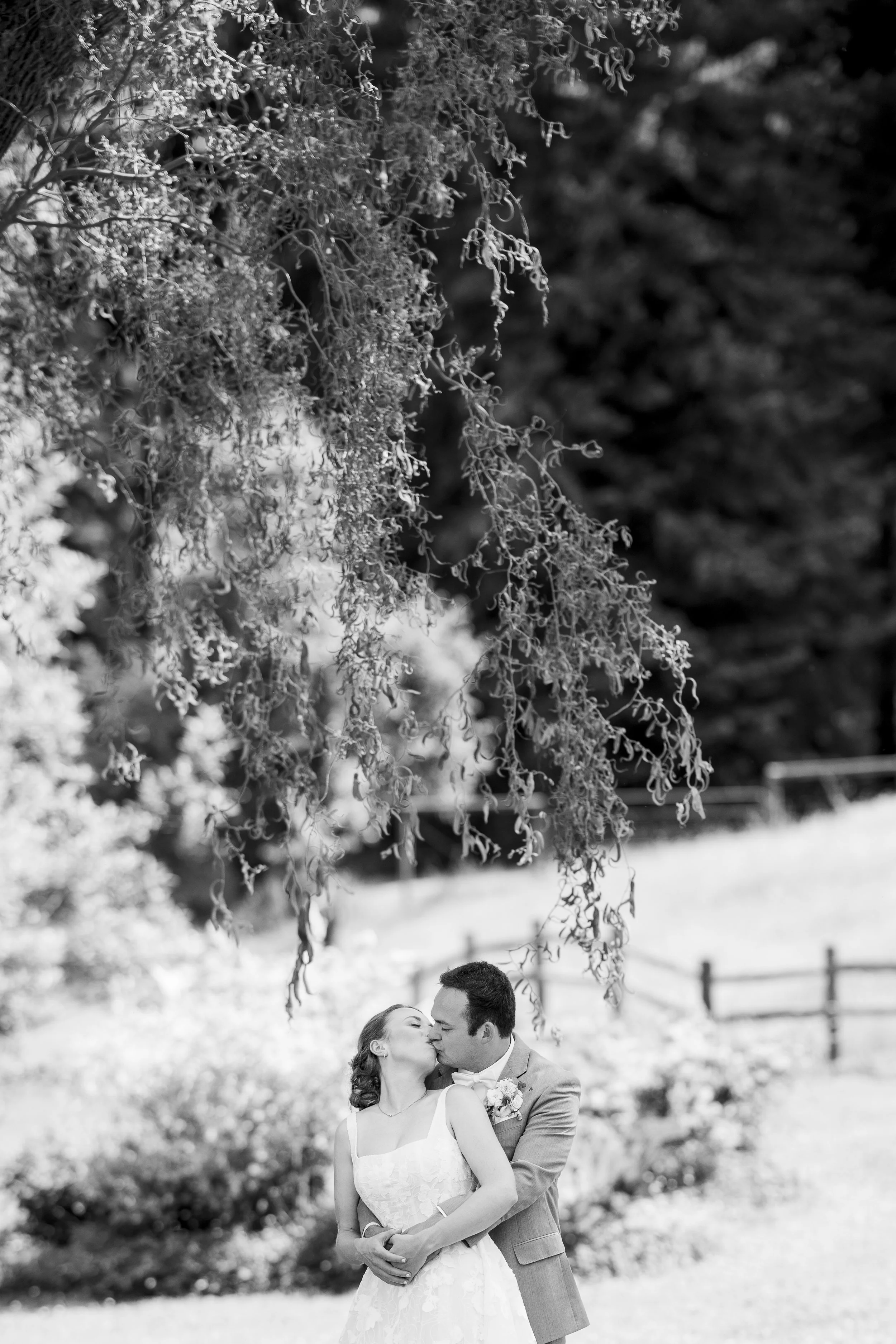 Fine art wedding photography Northern California