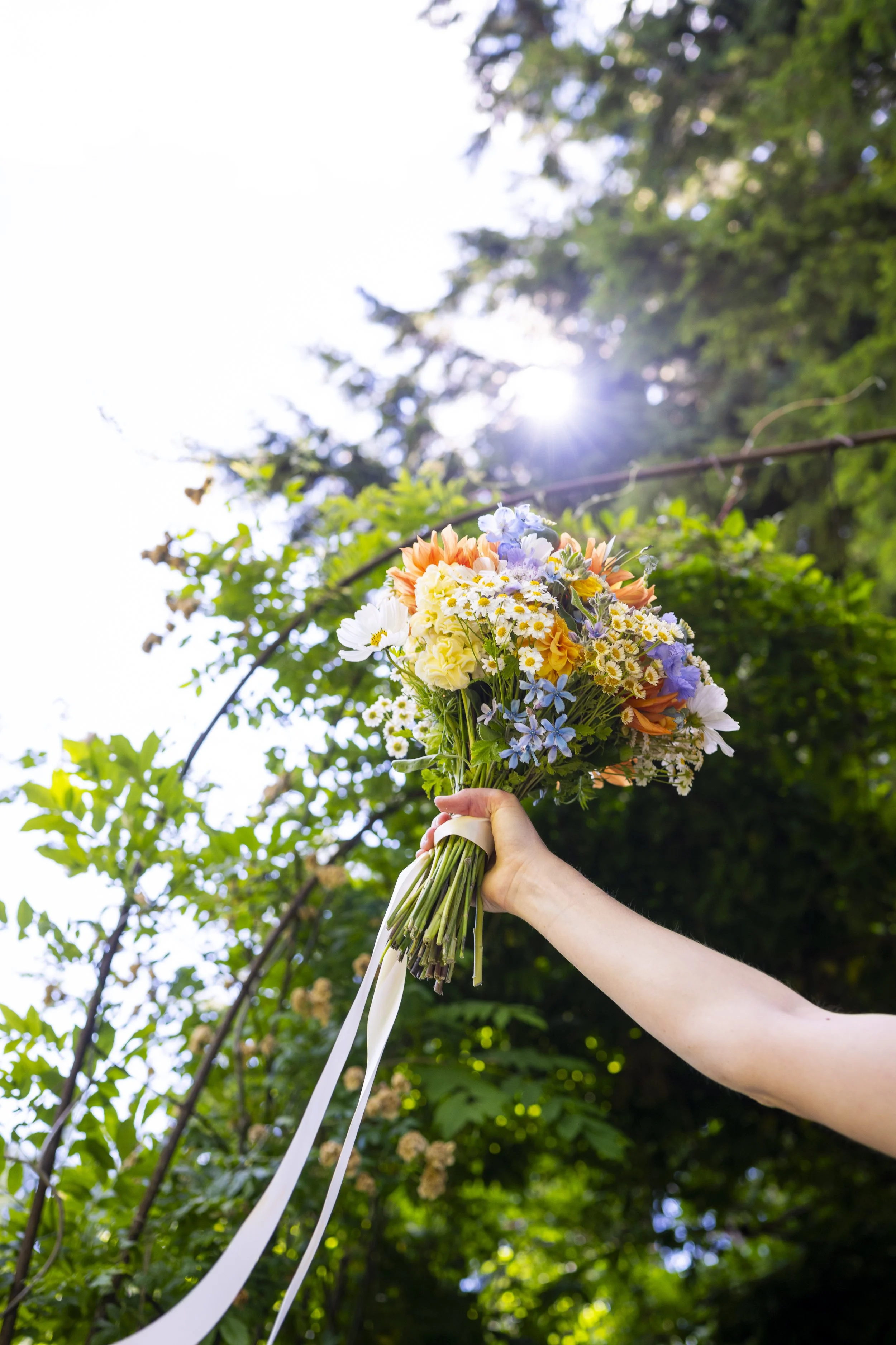 Fine art wedding photography Northern California