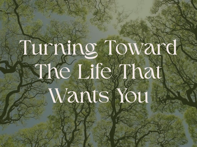 Turning Toward The Life That Wants You