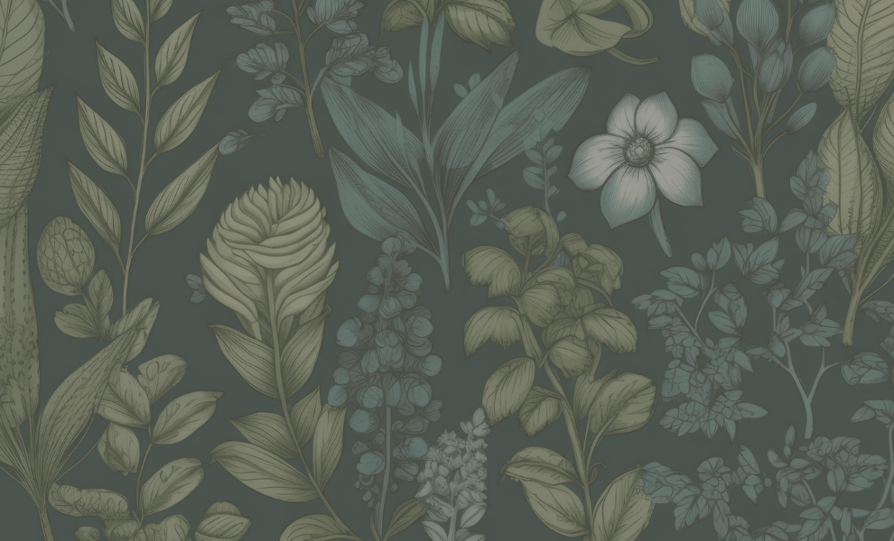 Somatic and subconscious healing session for releasing outdated patterns and reconnecting with inner clarity