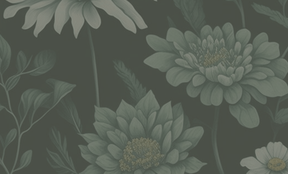 Self-led digital healing offerings from Mystic Rose Medicine including meditations, Human Design resources, and somatic support