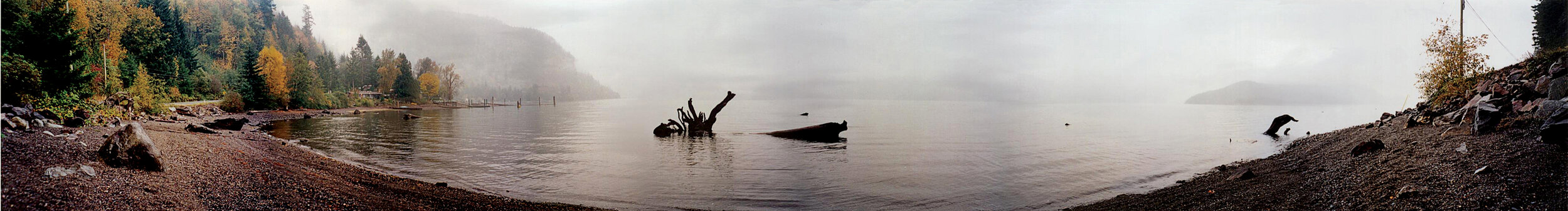 Dead-head, Harrison Lake, digital composite, 2002