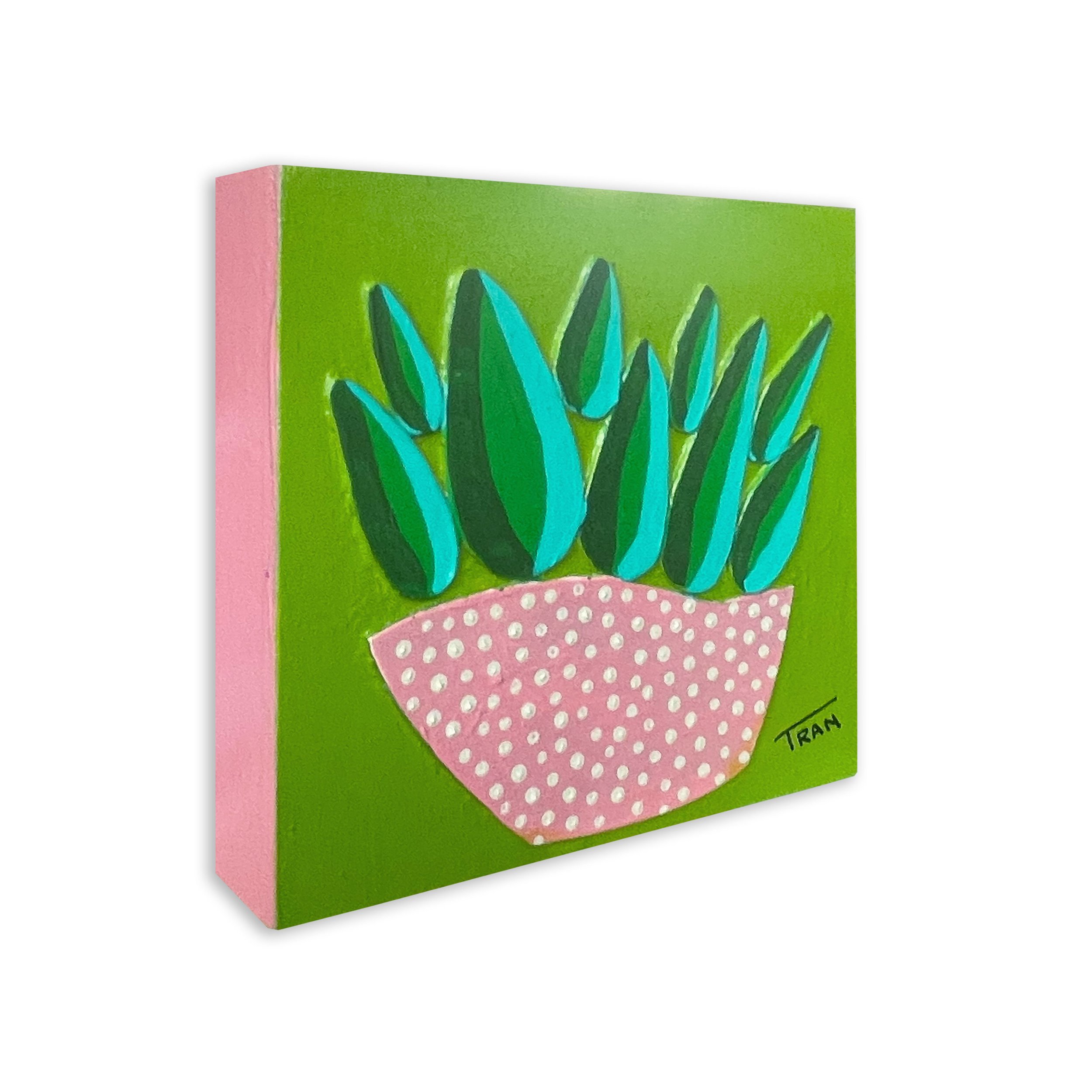 DaintySucculentLime-S.jpg