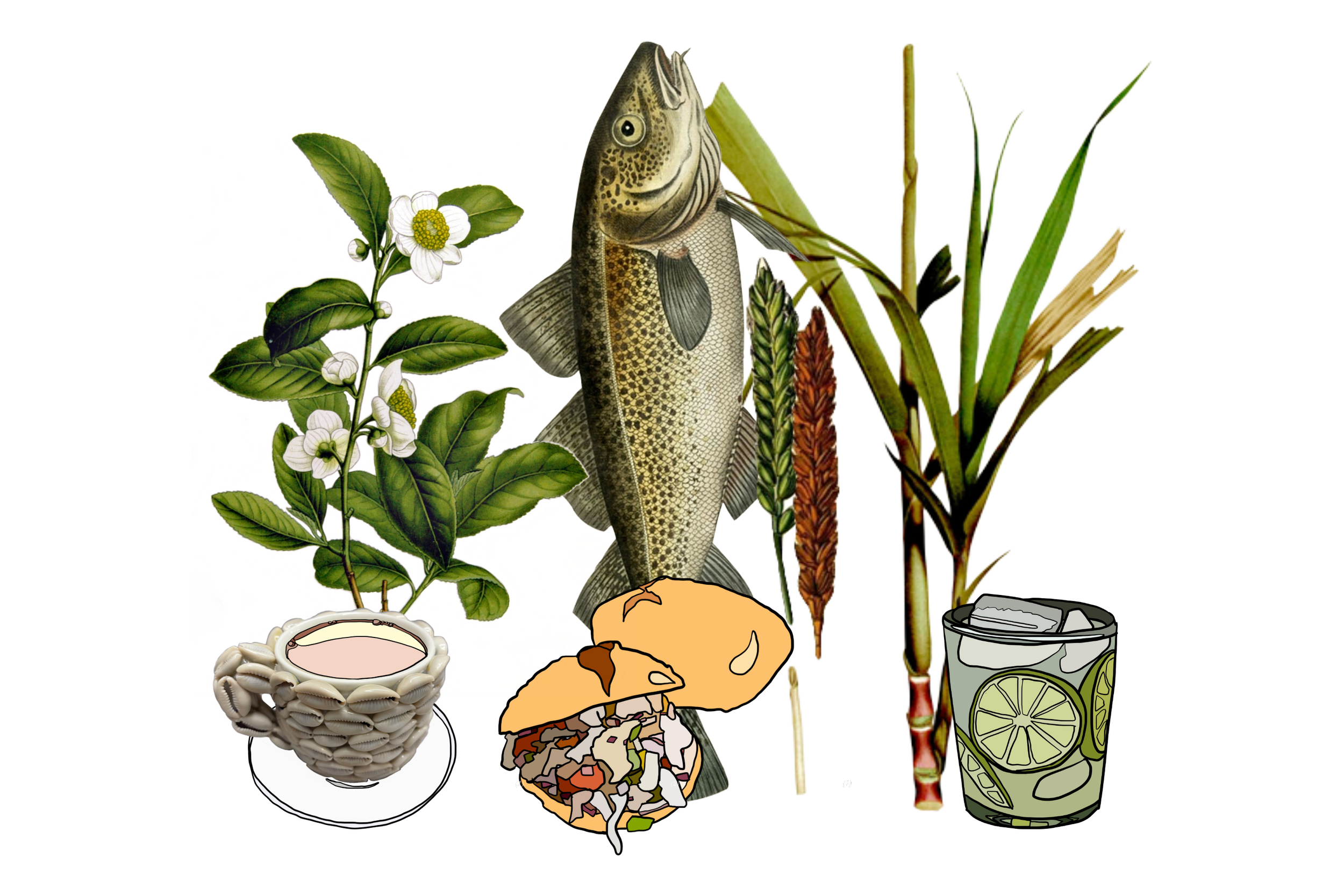 Bake & Saltfish (working title)