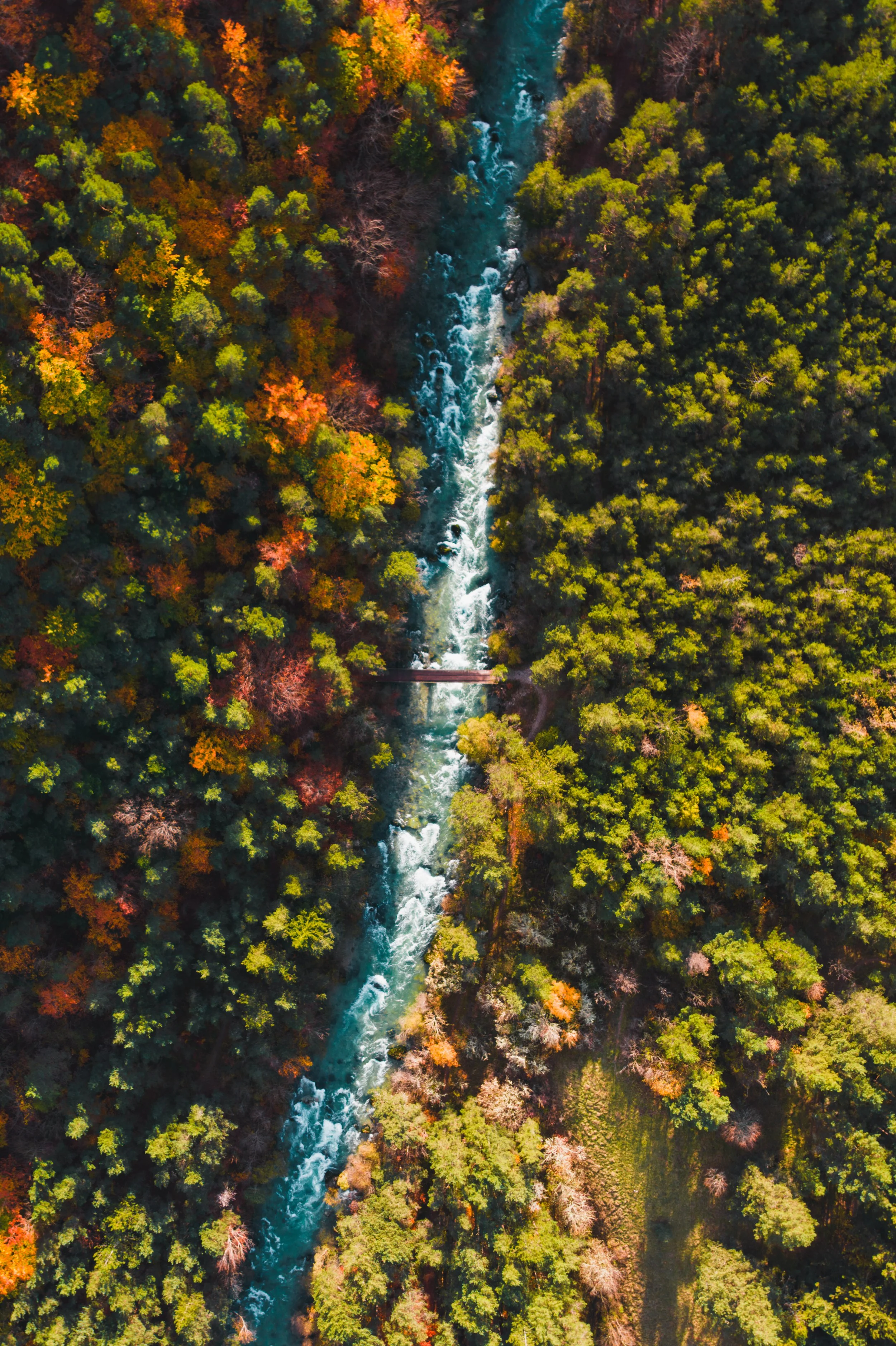Tour de l'Obiou ©Gontran Isnard (146).jpg