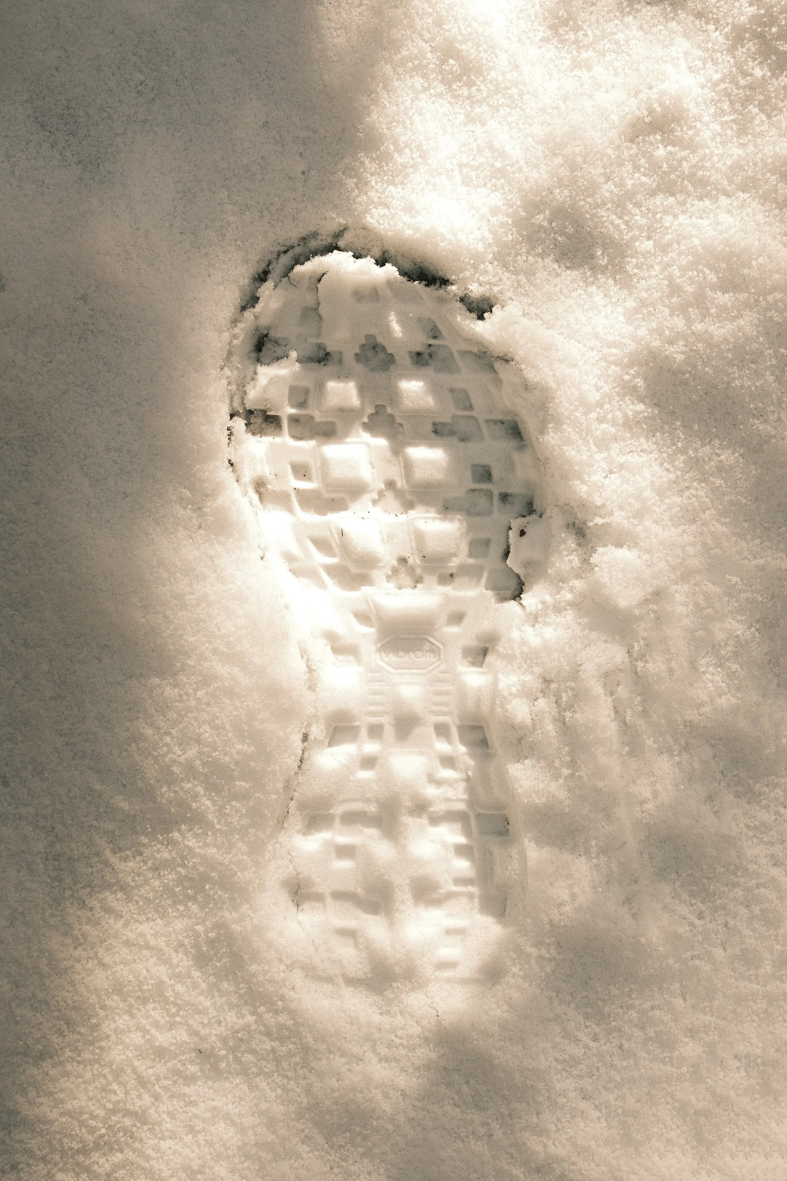 X-Bionic Winter Trail Photos ©Gontran Isnard_5.jpg