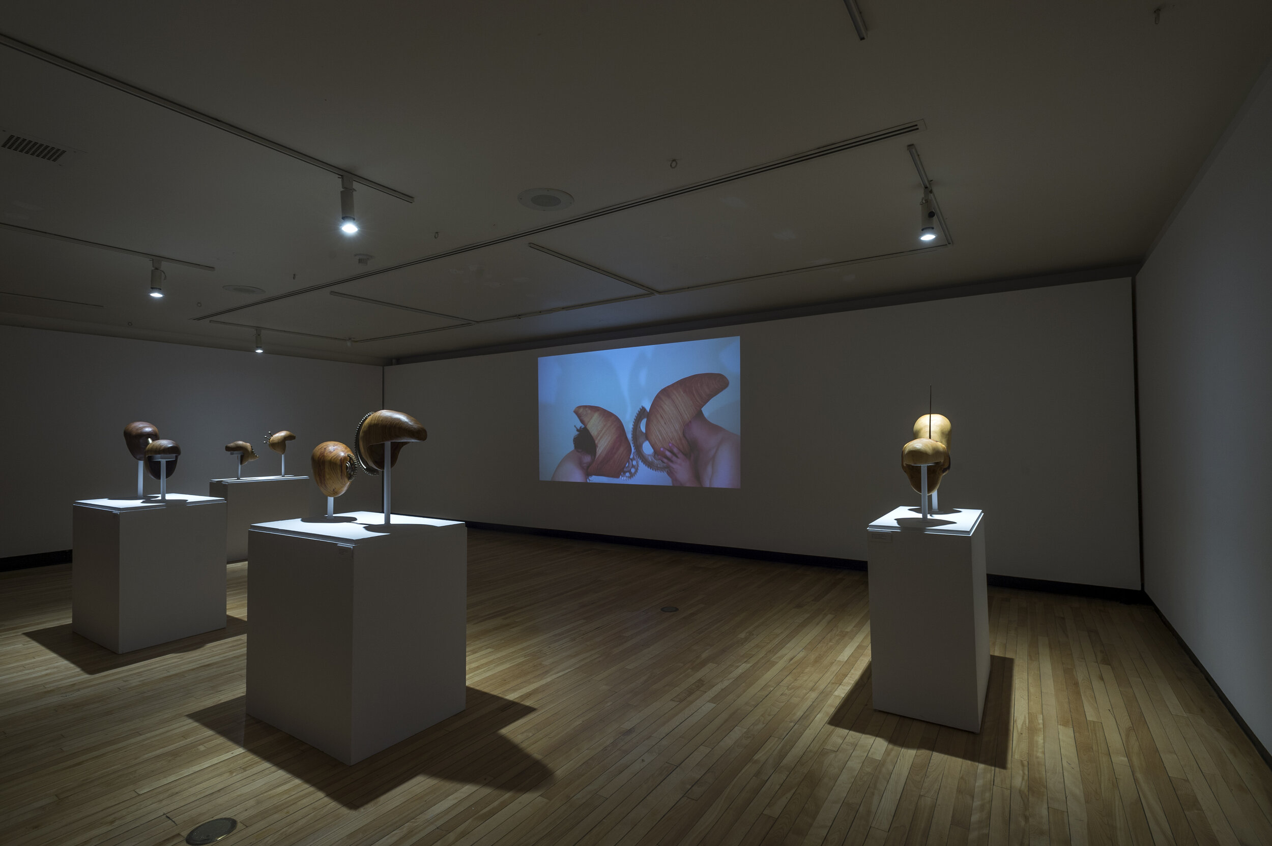  installation shot of Early Concepts of Eden installed at the Art Gallery of Guelph as part of the Mondes Bricolés group exhibition, August 23 – October 30, 2016.  
