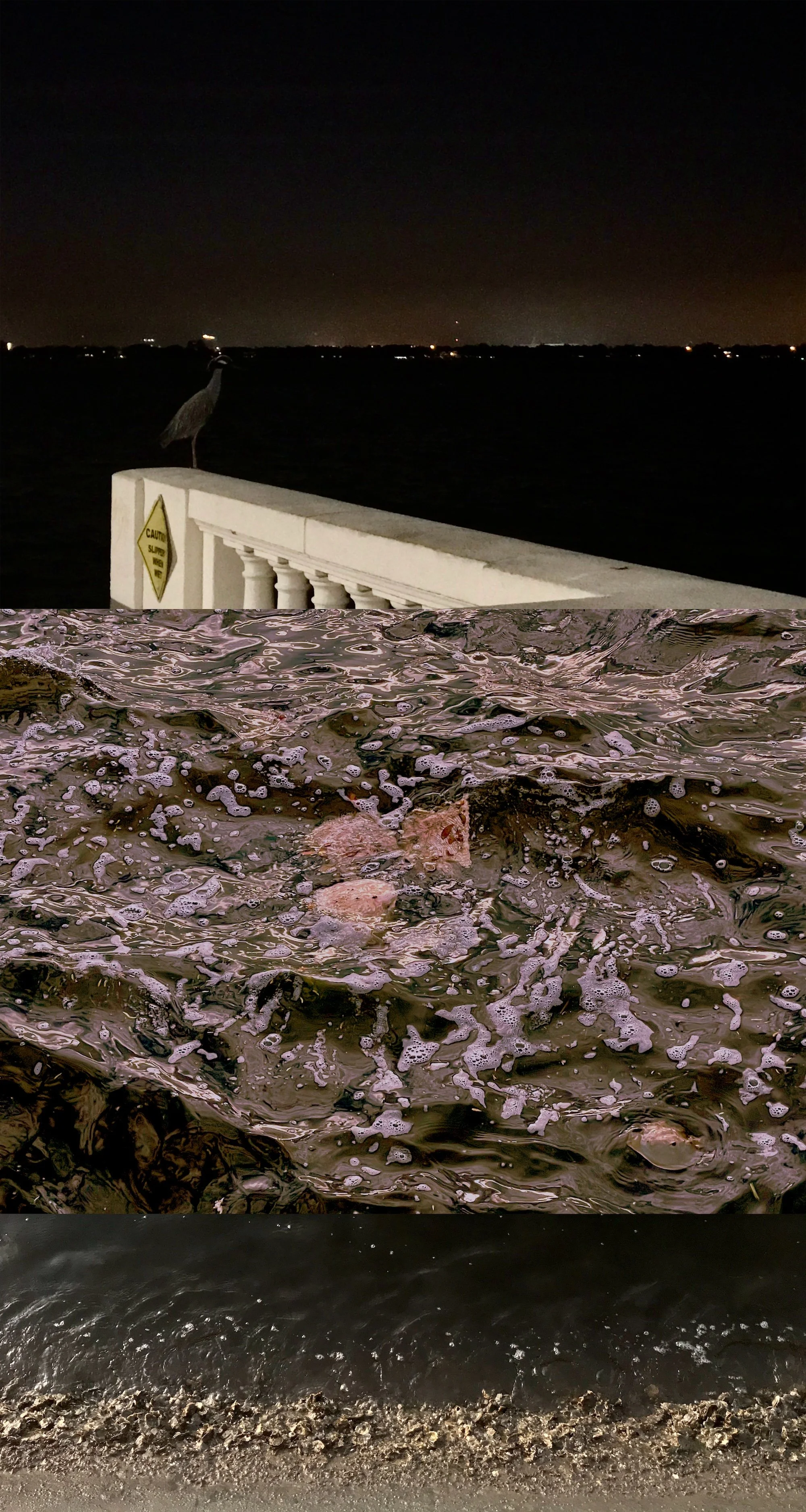 Red Tide - CAUTION , 2025 
photographic composite pigment print 
30” x 18” appx.
