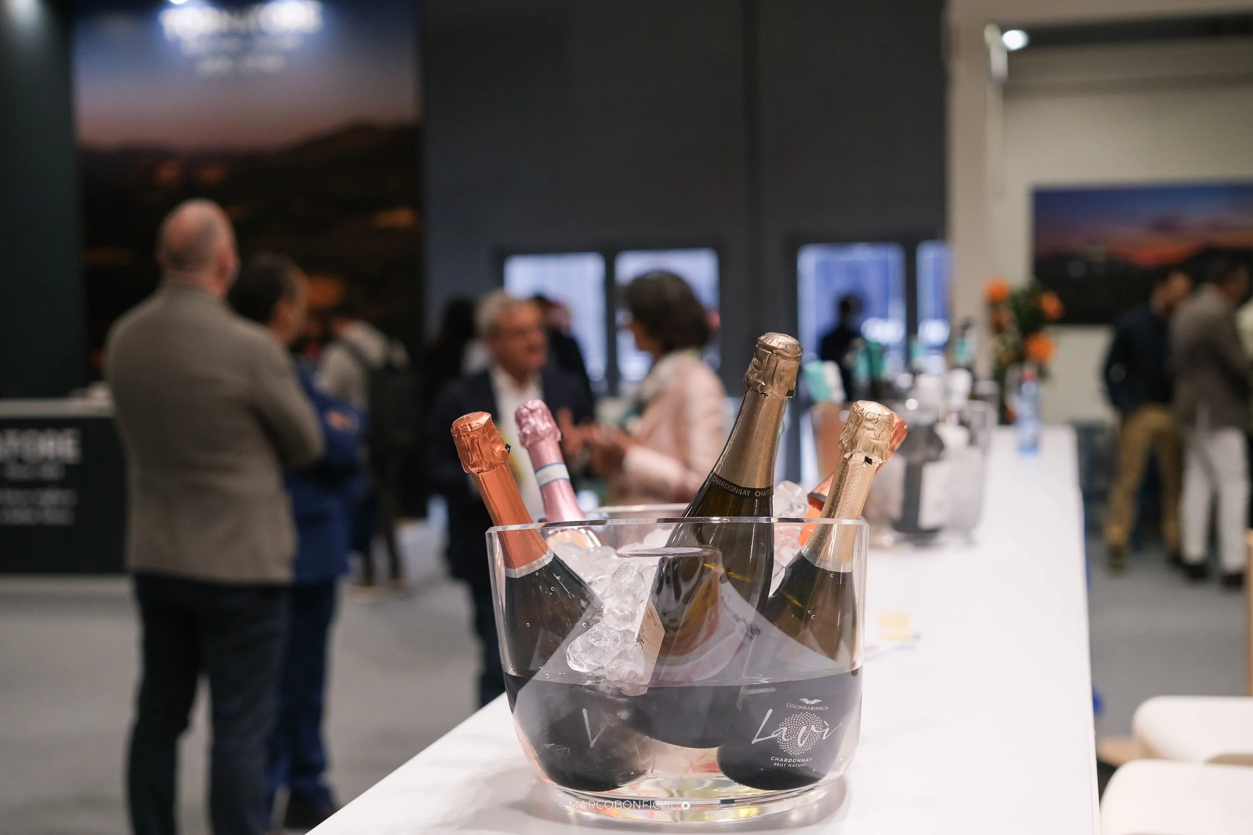 20260412_Vinitaly_001_low.jpg