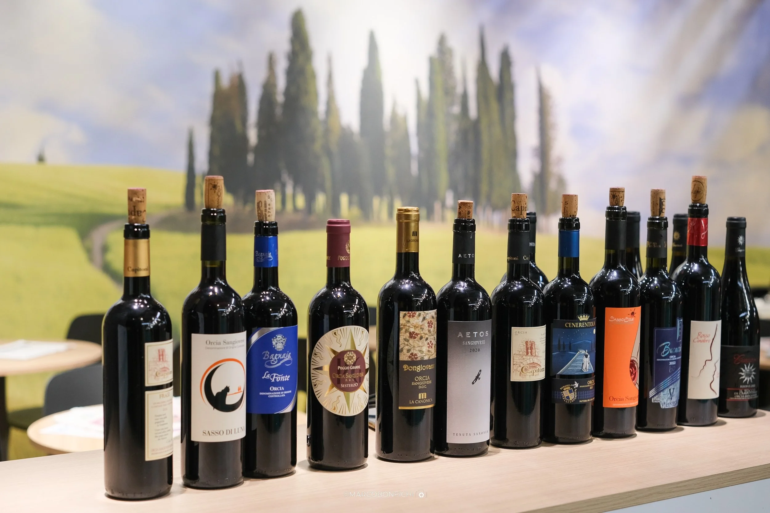 20260412_Vinitaly_026_low.jpg
