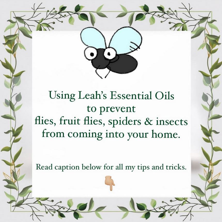 Using Leah’s Essential Oils to prevent insects from coming into you home…