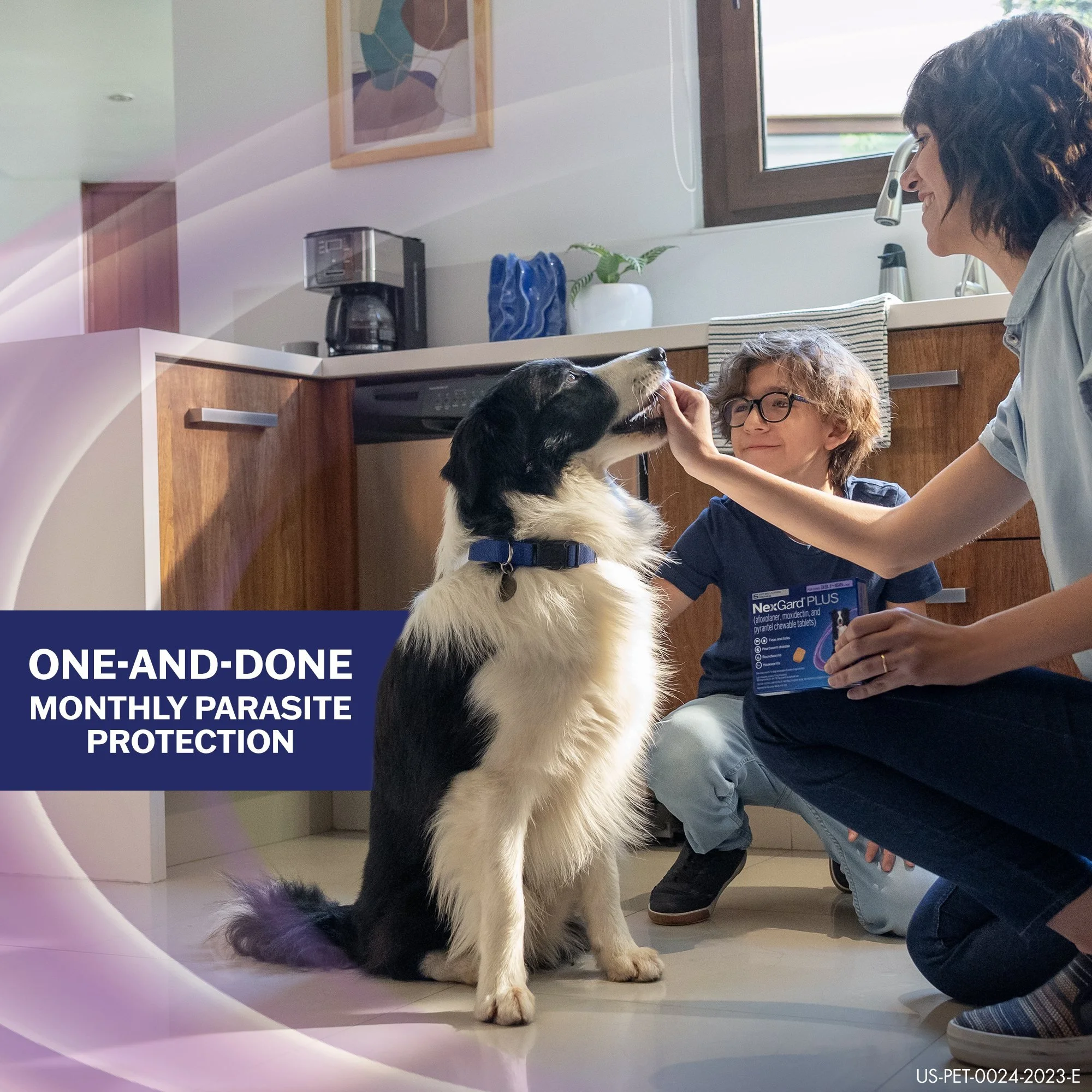 NexGard, Frontline Plus | Animal Health | Content Ecosystem