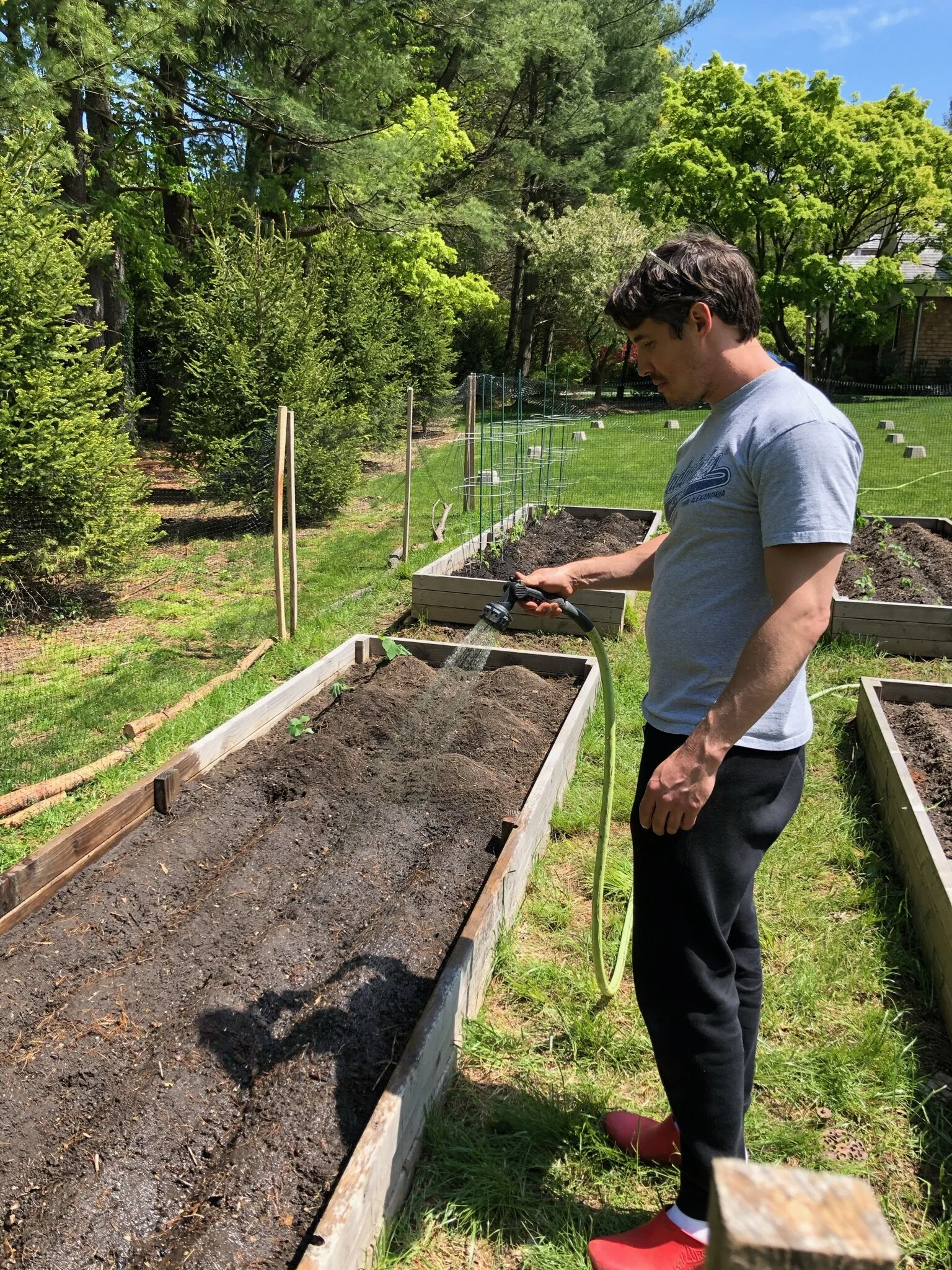 Dr. Ryan watering his backyard garden