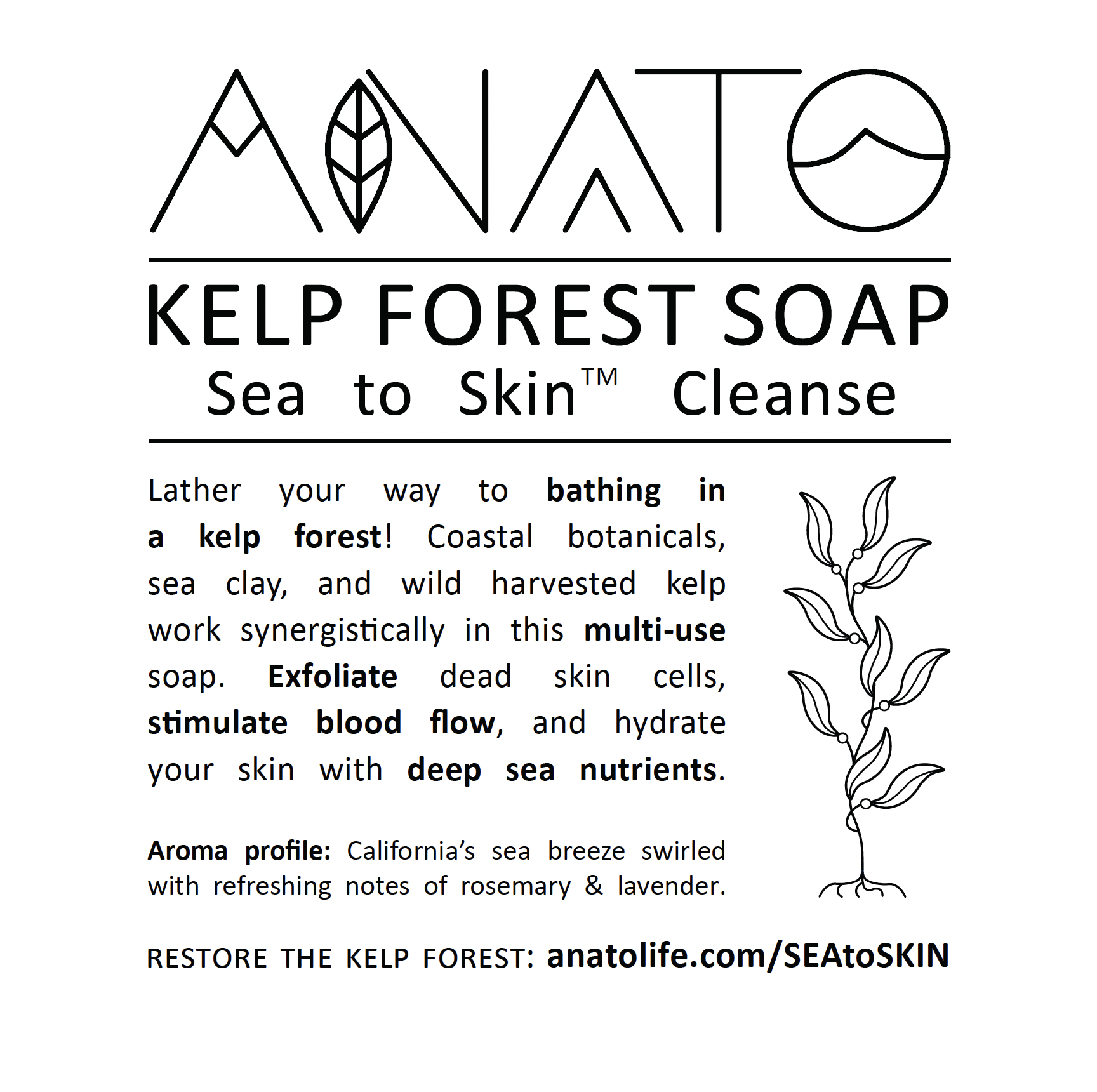 KELP FOREST SOAP.png