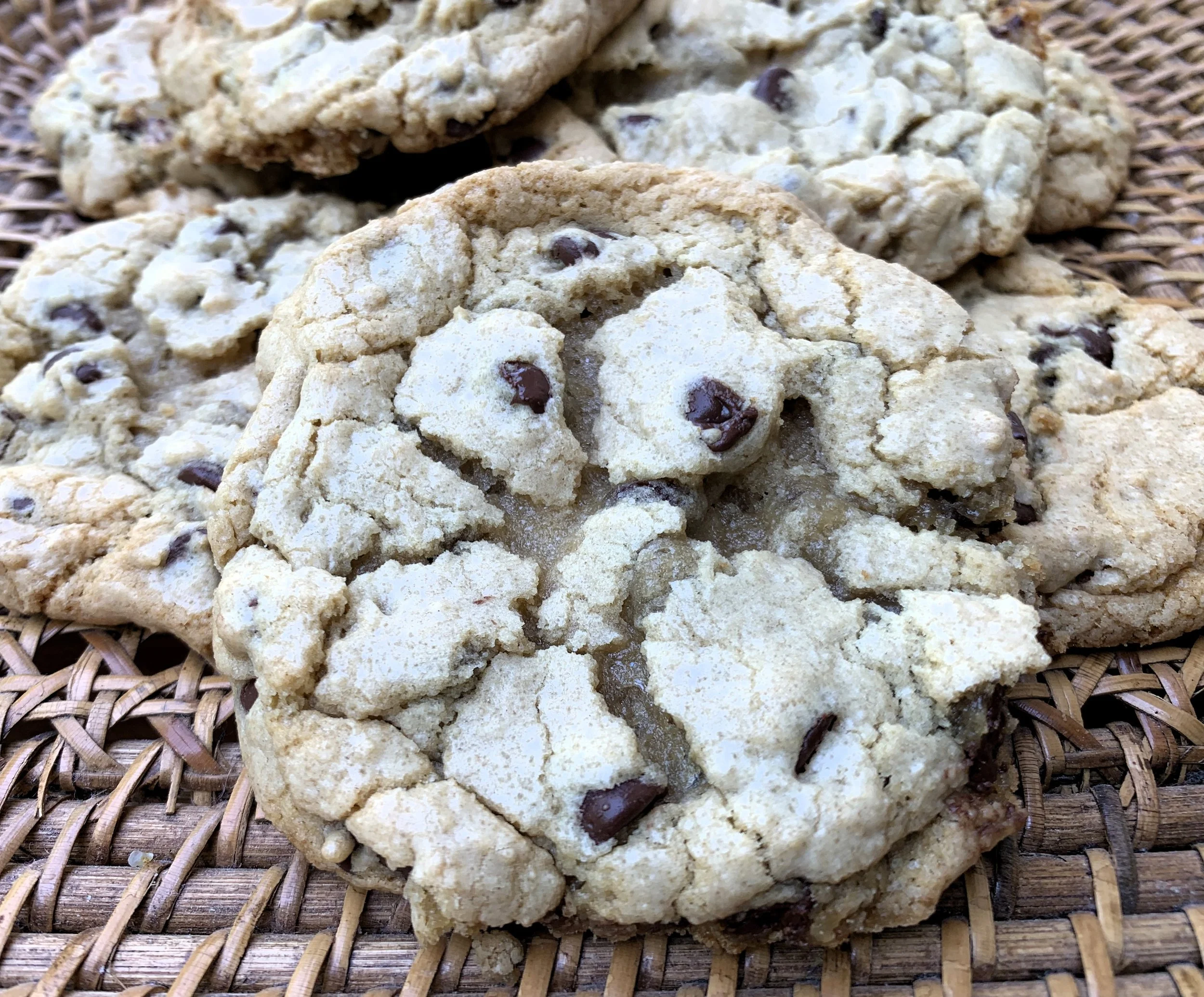 Chocolate  chip cookies