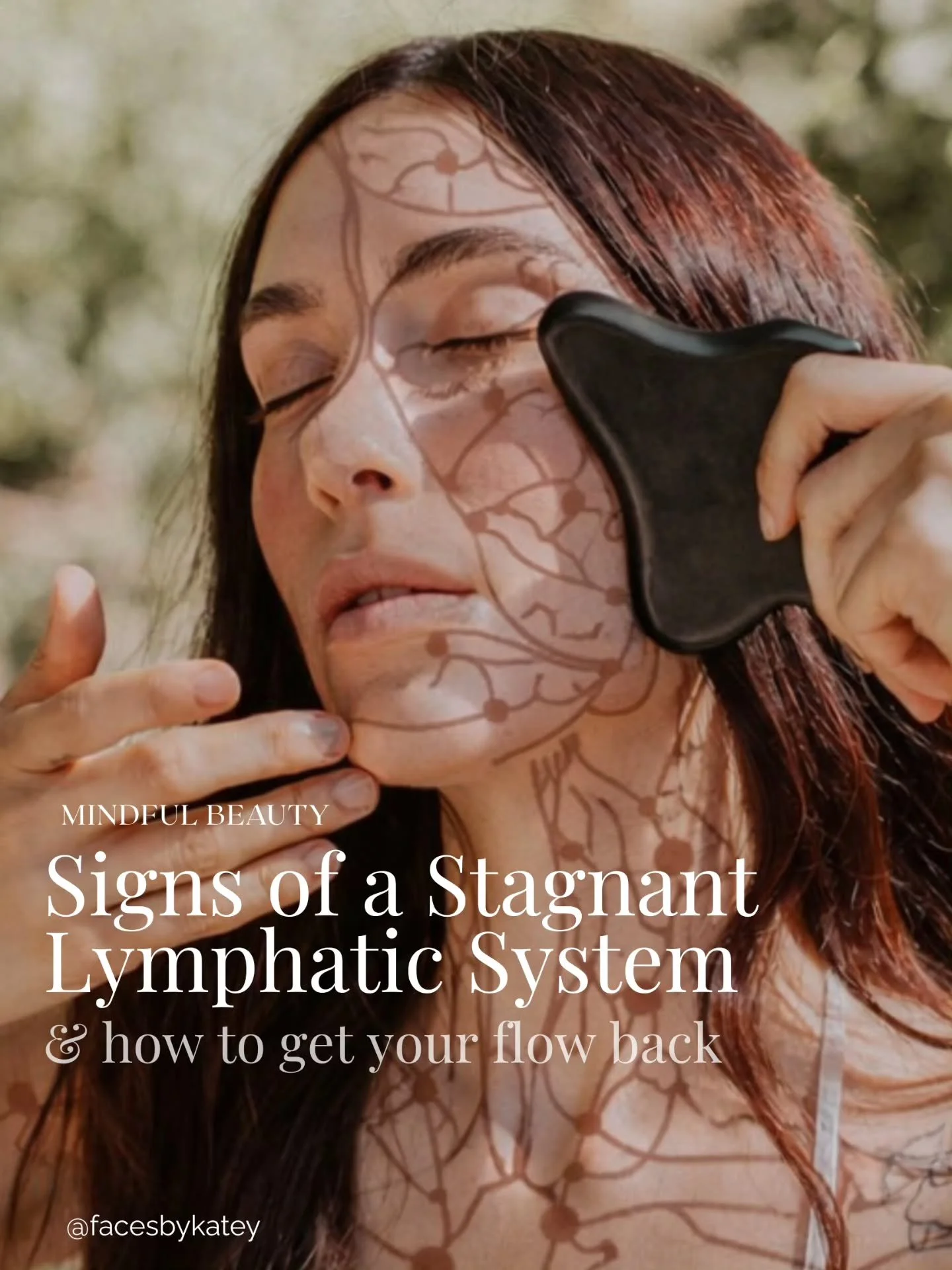 Our skin is only as clear as our lymphatic system, and the lymphatic system is only as supported as the organs that filter our internal terrain, especially the liver. When the liver and blood are burdened &mdash; whether by excess fats, metabolic was